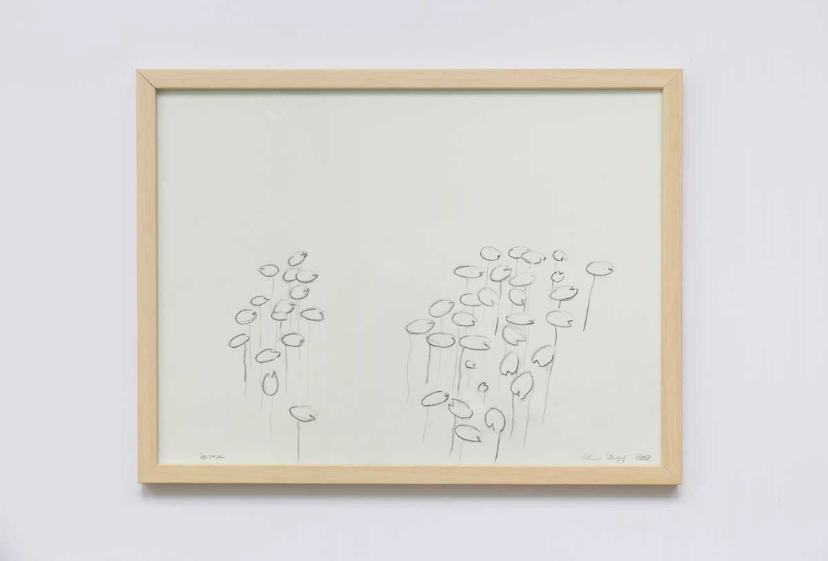 Christian Voigt, Zeichnung