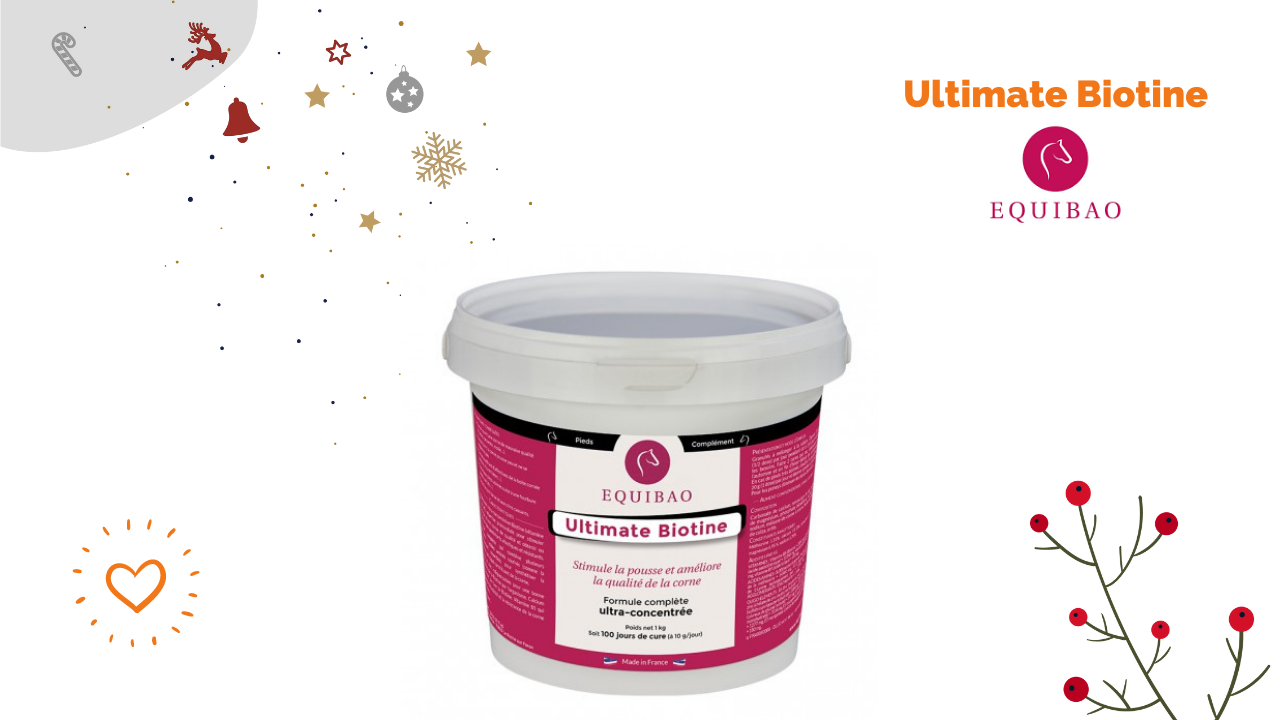 cadeau-noel-cheval-ultimate-biotine-equibao