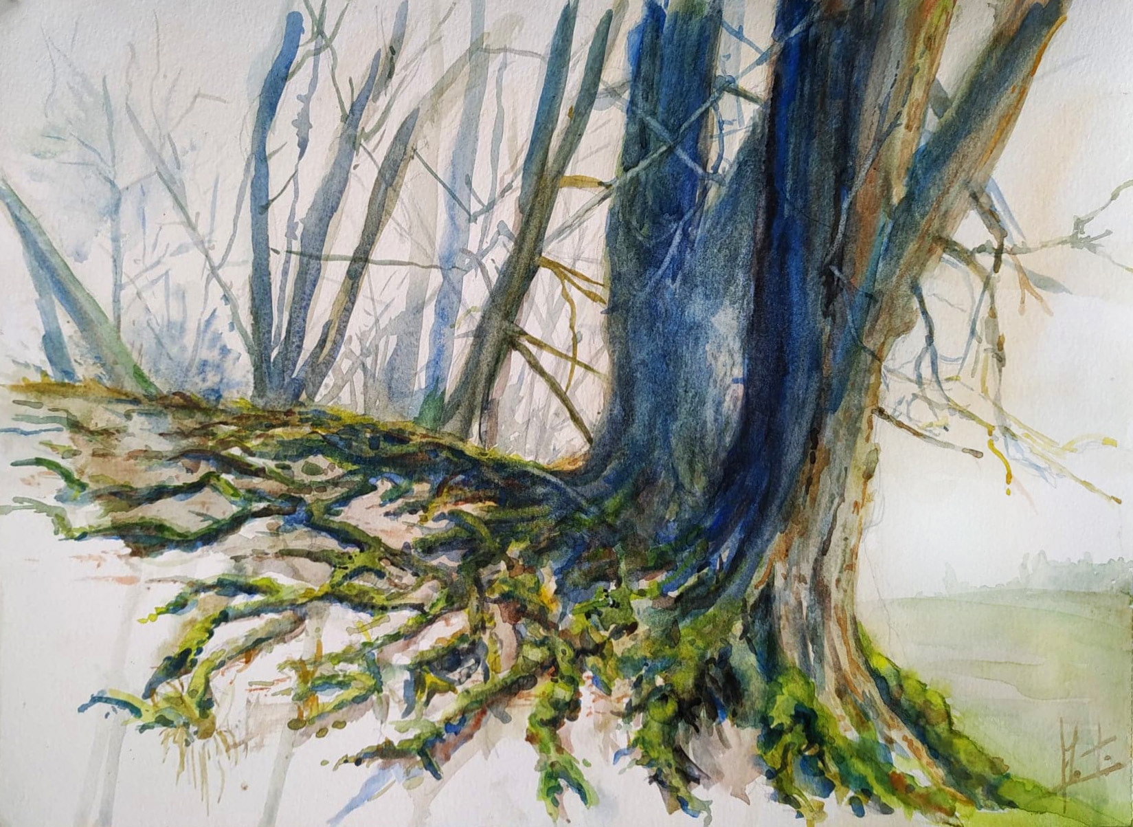 Croquis aquarelle - Arbre à Marly (vendu)