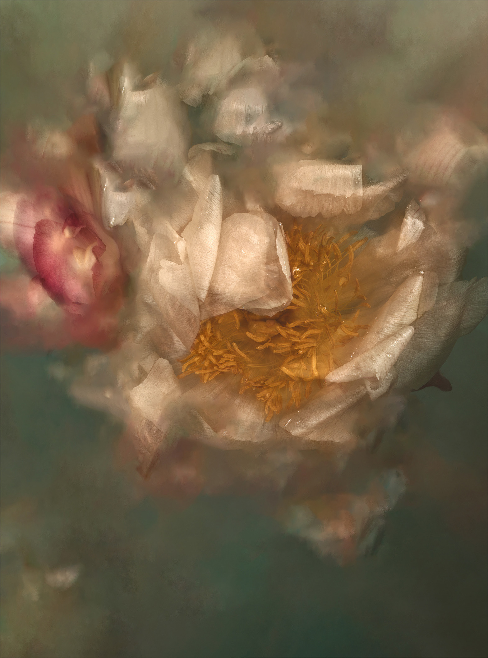 Galerie du projet Naufragia.