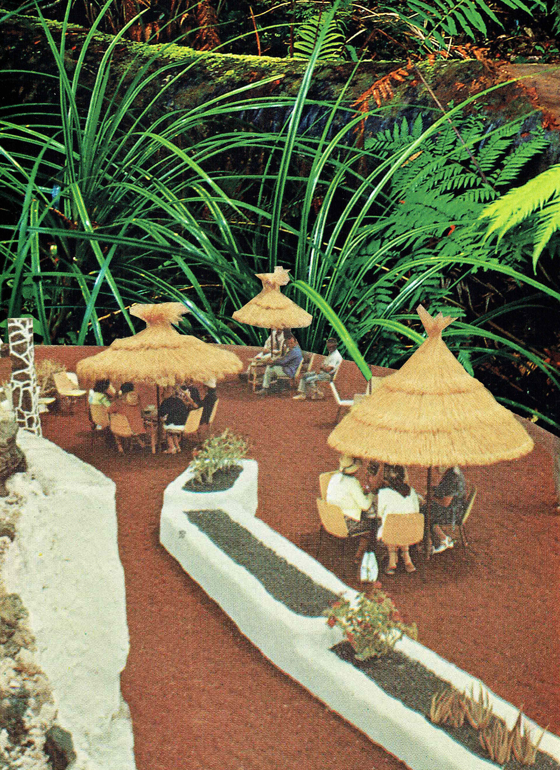 Undergrowth Vacay