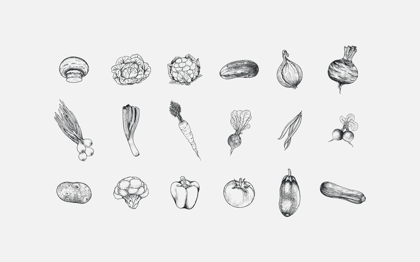 żywe warzywa - warzywa - Michał Rajczak - Portfolio - Grafik Freelancer - Poznań
