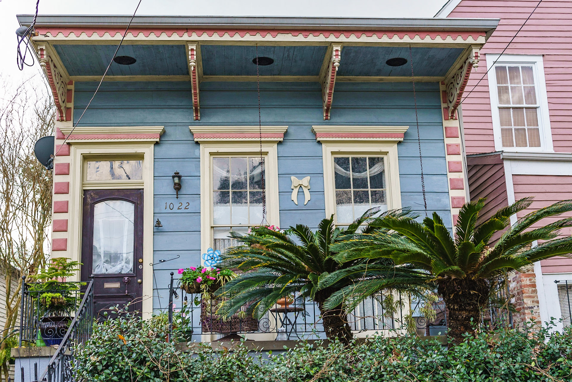 Garden District, New Orleans Louisiana - by Alison Northway - January 2022