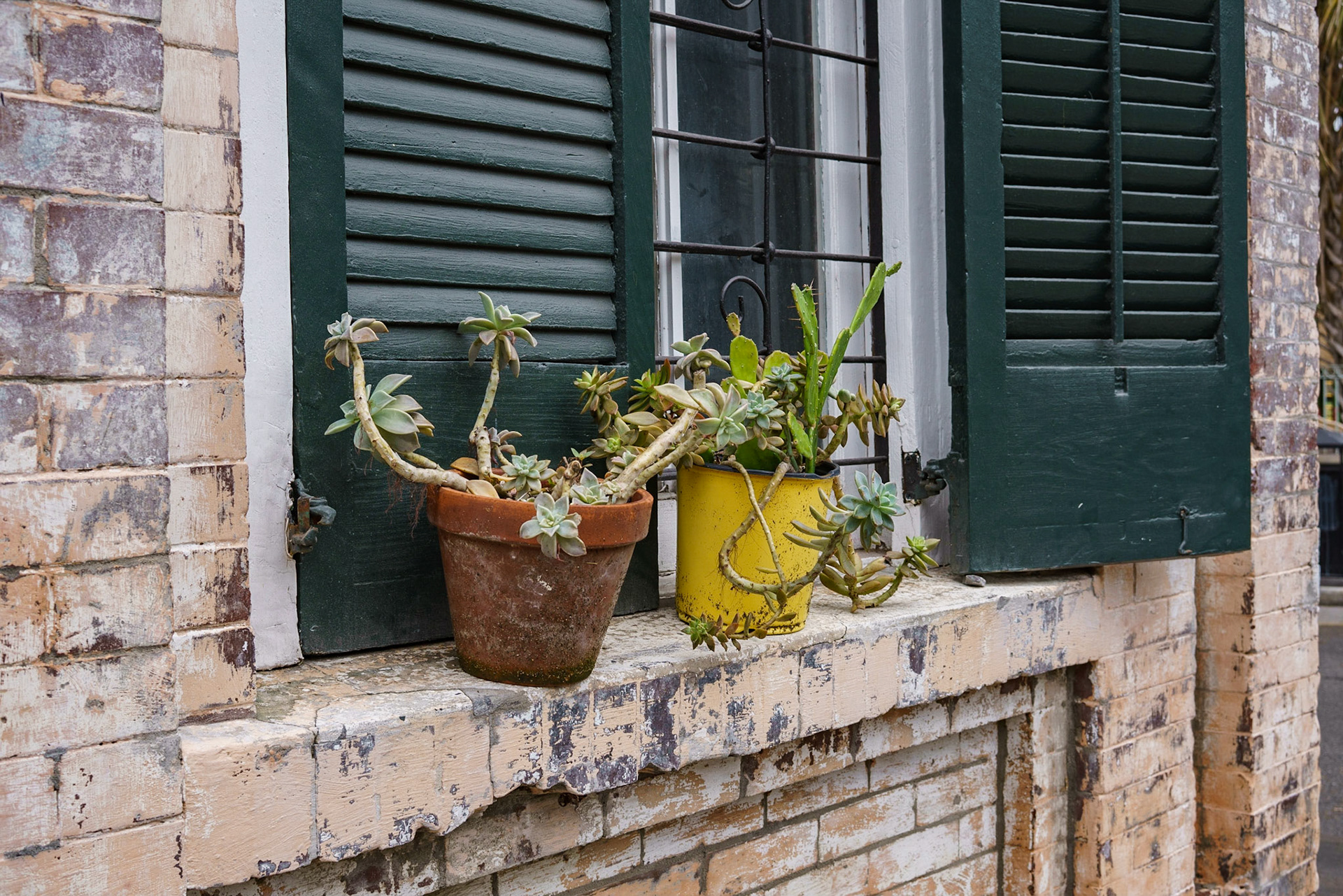 French Quarter, New Orleans Louisiana - by Alison Northway - January 2022