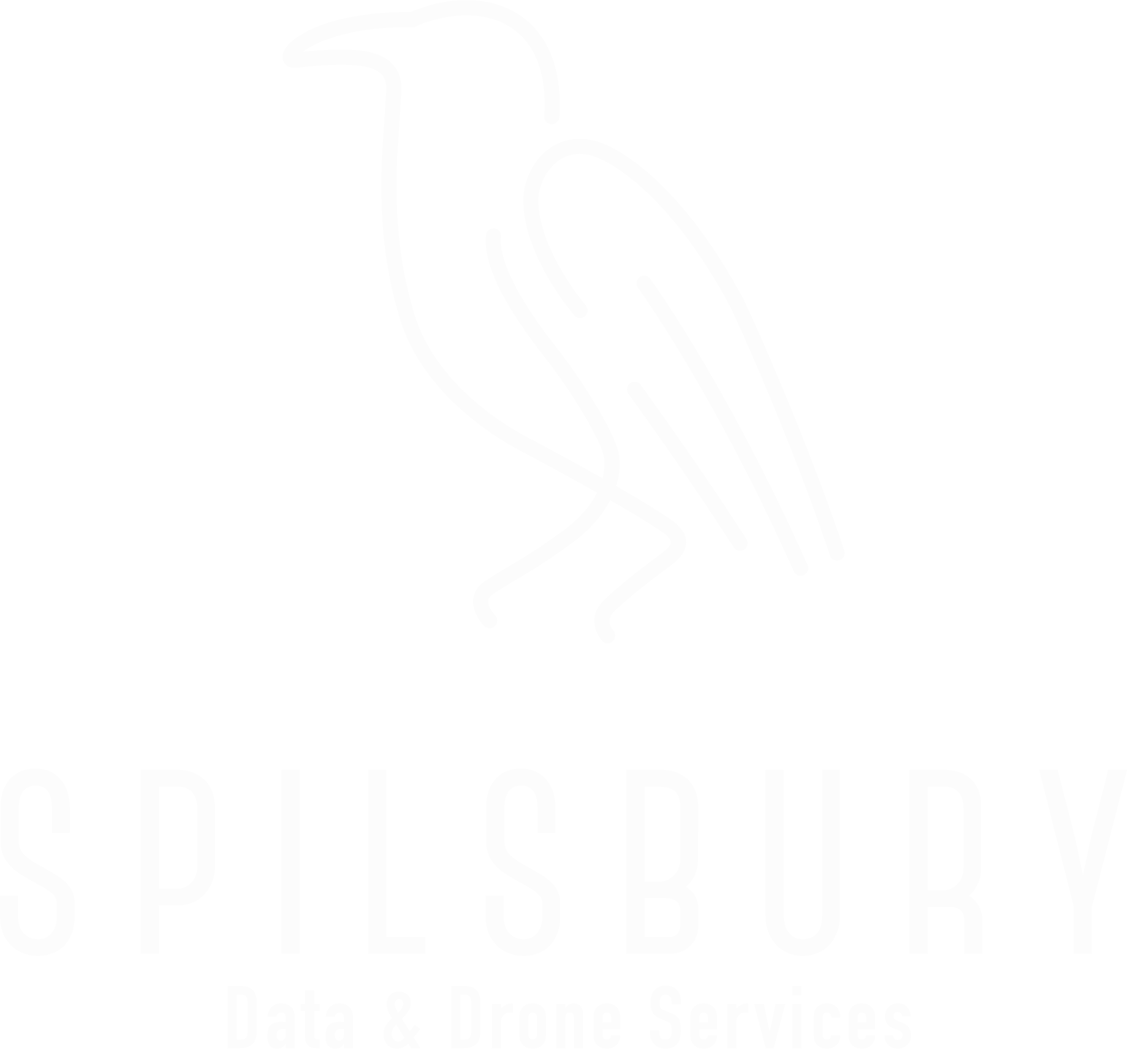 Spilbury Data & Drone Services