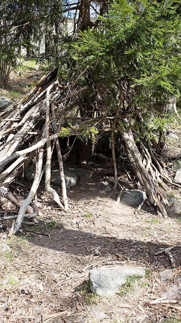 Rågsveds naturreservat