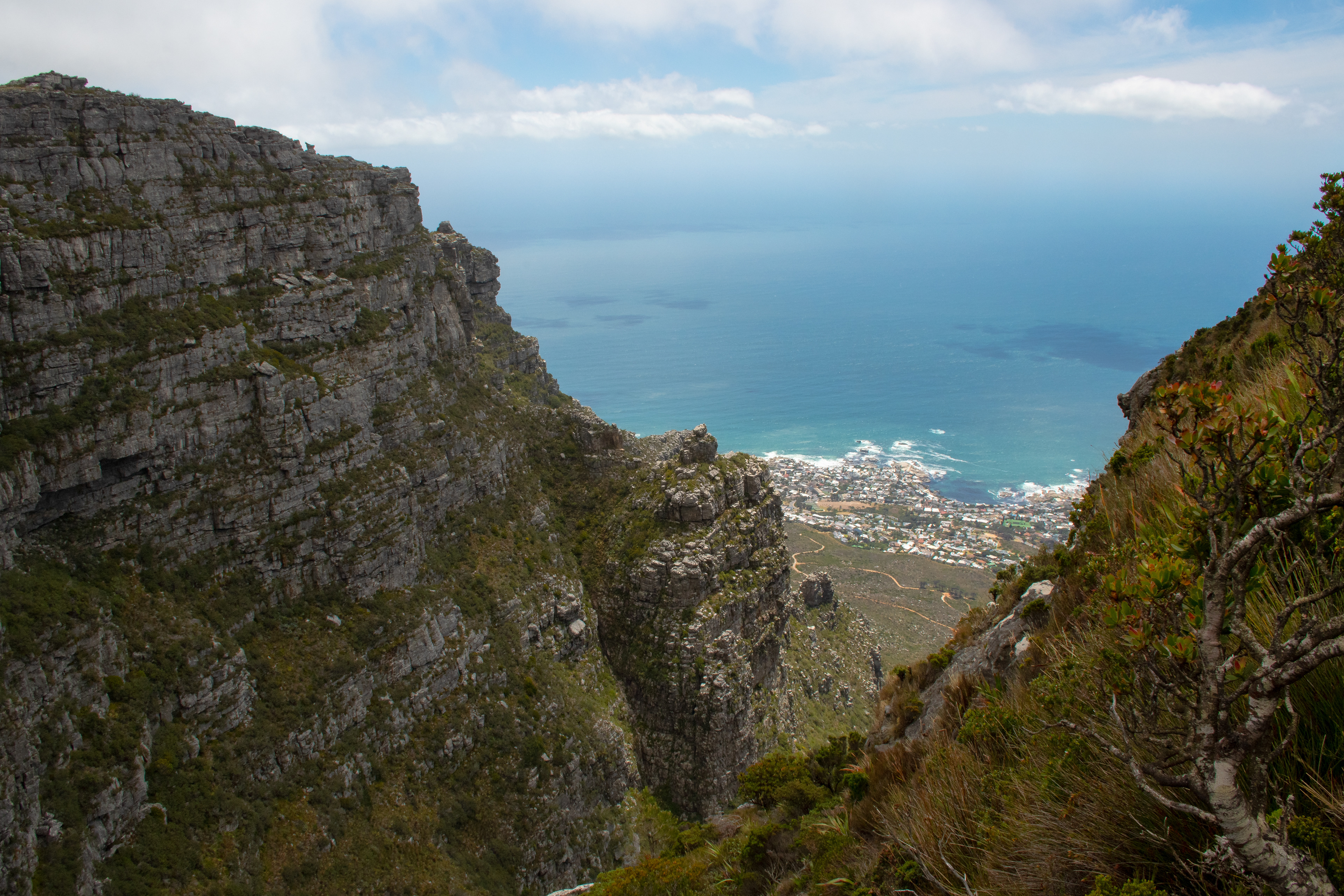 Table Mountain National Park