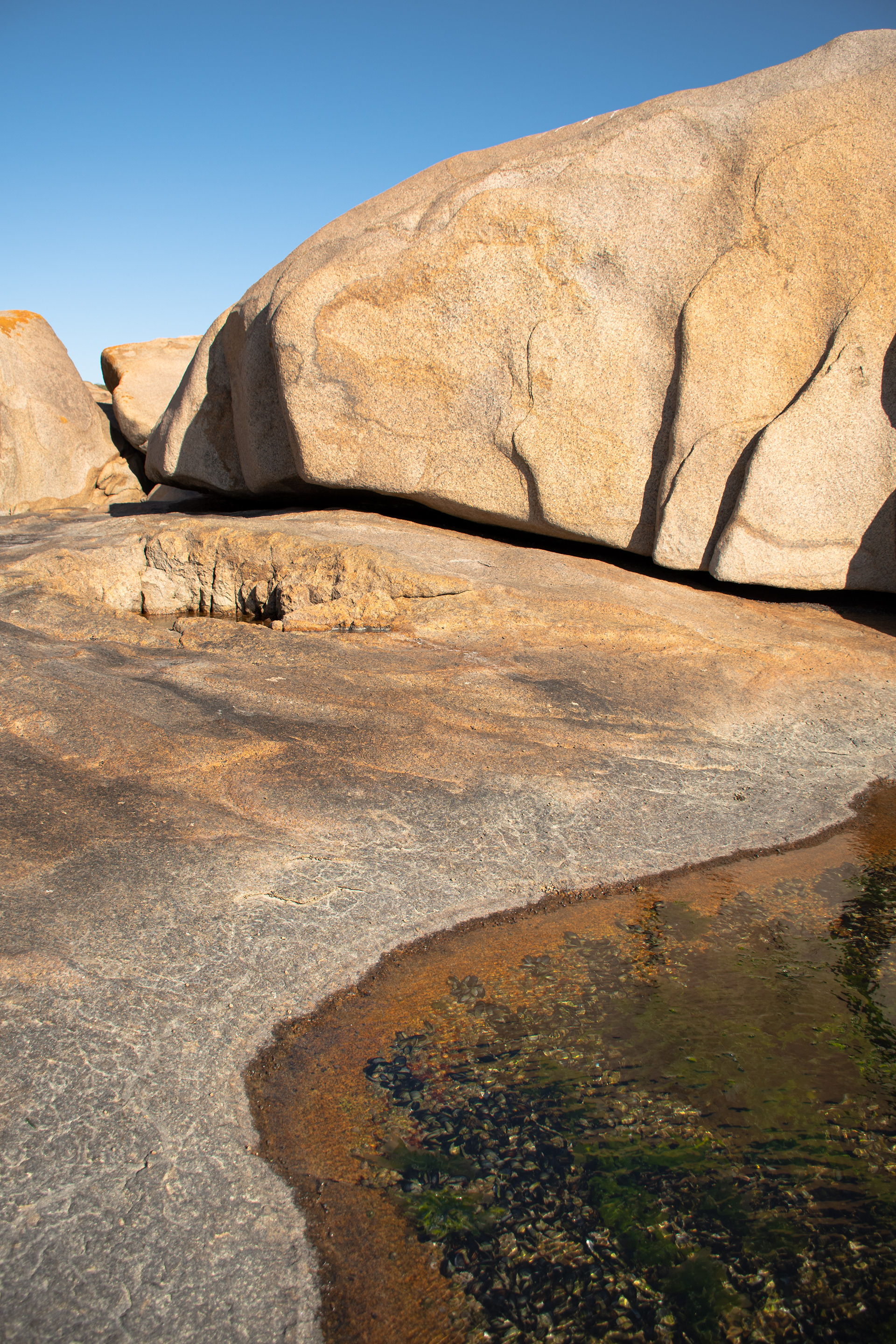 Sandstone boulders form the coastline of Cape Columbine