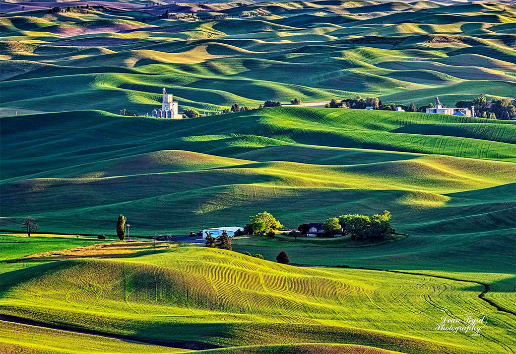 Dean Byrd Photography - Images from the Palouse