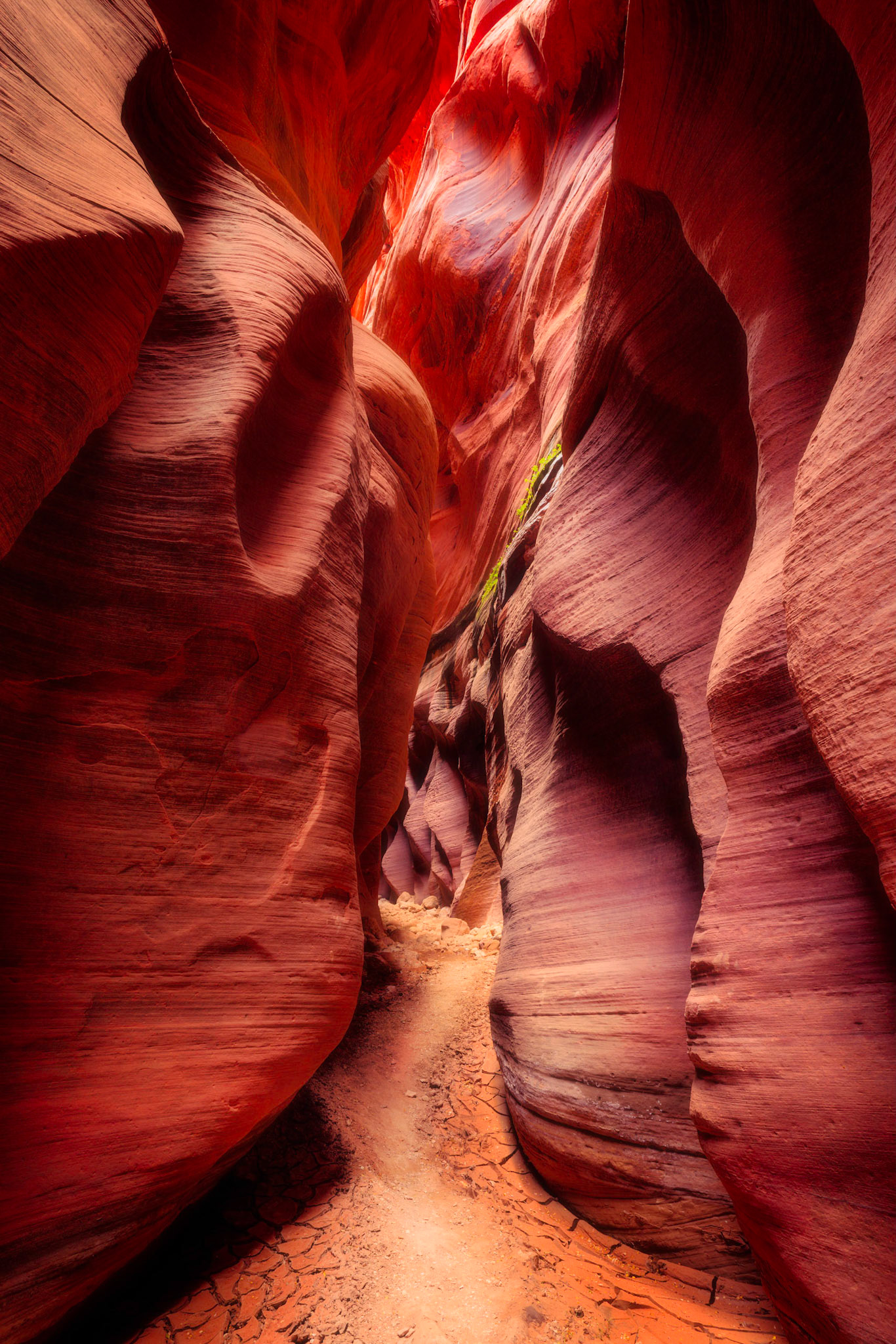 At some points, Buckskin Gulch is only a couple of feet wide at the bottom, while the walls to the sides extend a few hundred feet above.  For slot canyons, the narrow points here can be considered to be quite wide.Only a few steps away from this location, I captured another composition, which probably wouldn't be recognizable if not for the vegetation growing on the wall to the right.  Buckskin GulchUtahNovember 13, 2017PENTAX K-1, HD PENTAX-D FA 24-70mm F2.8ED SDM WRISO 100 24 mm  2.5 sec at ƒ / 10
