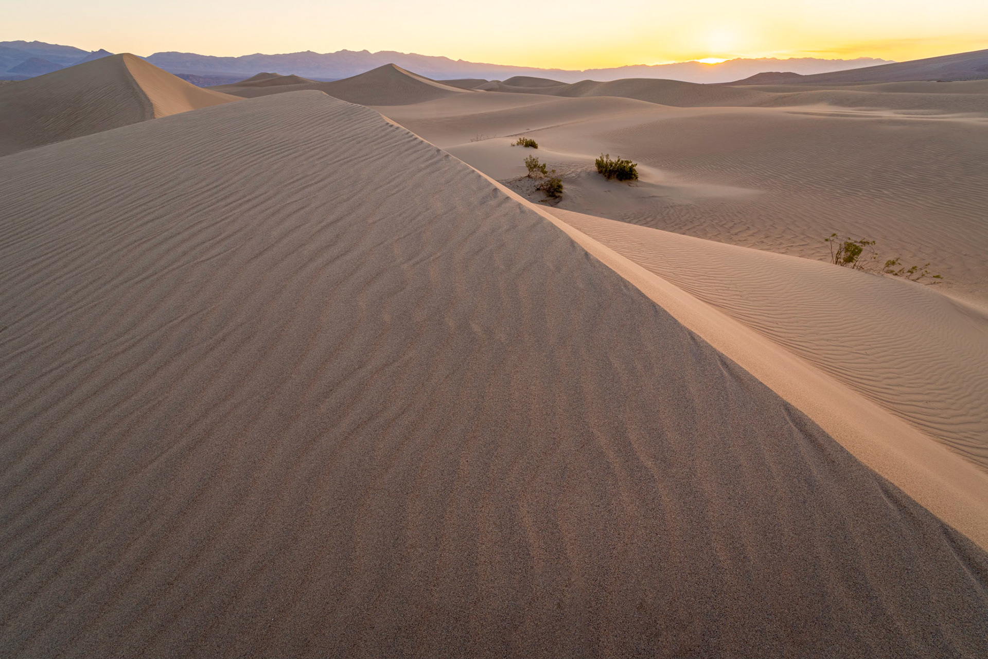Mesquite Flats, around sunrise.Death Valley National ParkCaliforniaFebruary 19, 2020Pentax K-1, HD PENTAX-D FA 15-30mm F2.8ED SDM WRISO 100 15 mm  ¹⁄₄₀ sec at ƒ / 22