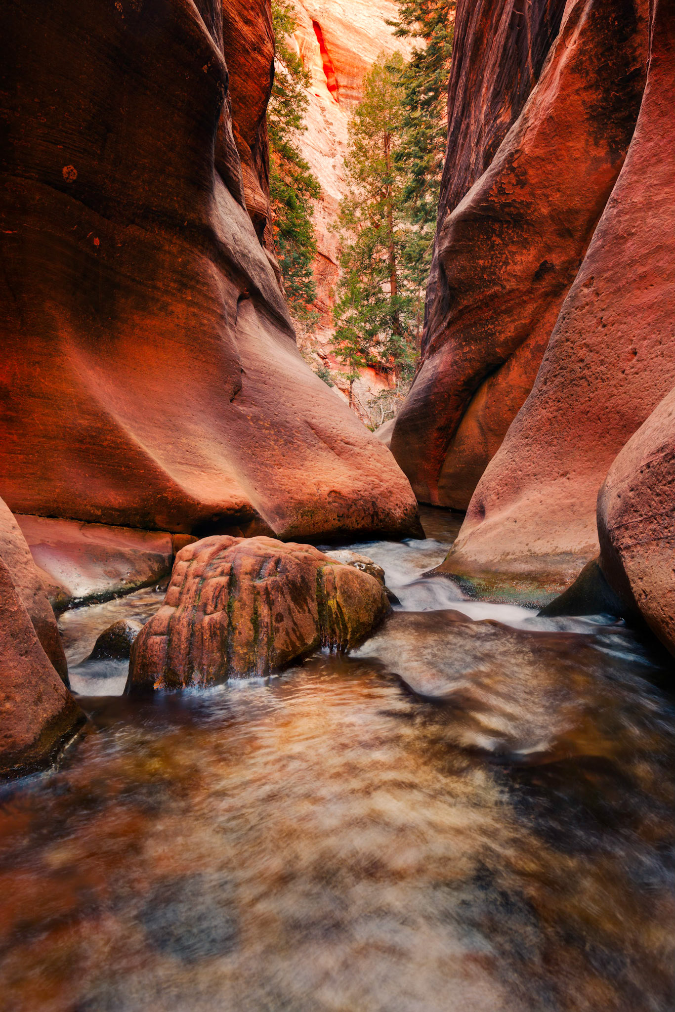 The Kanarraville canyon.  Just upstream from this is a wonderful waterfall.  Just downstream from this is another waterfall, but in a wider, more open part of the canyon.  This is looking downstream.Kanarraville, UtahNovember 14, 2017PENTAX K-1, HD PENTAX-D FA 15-30mm F2.8ED SDM WRISO 100 26 mm  1.3 sec at ƒ / 20