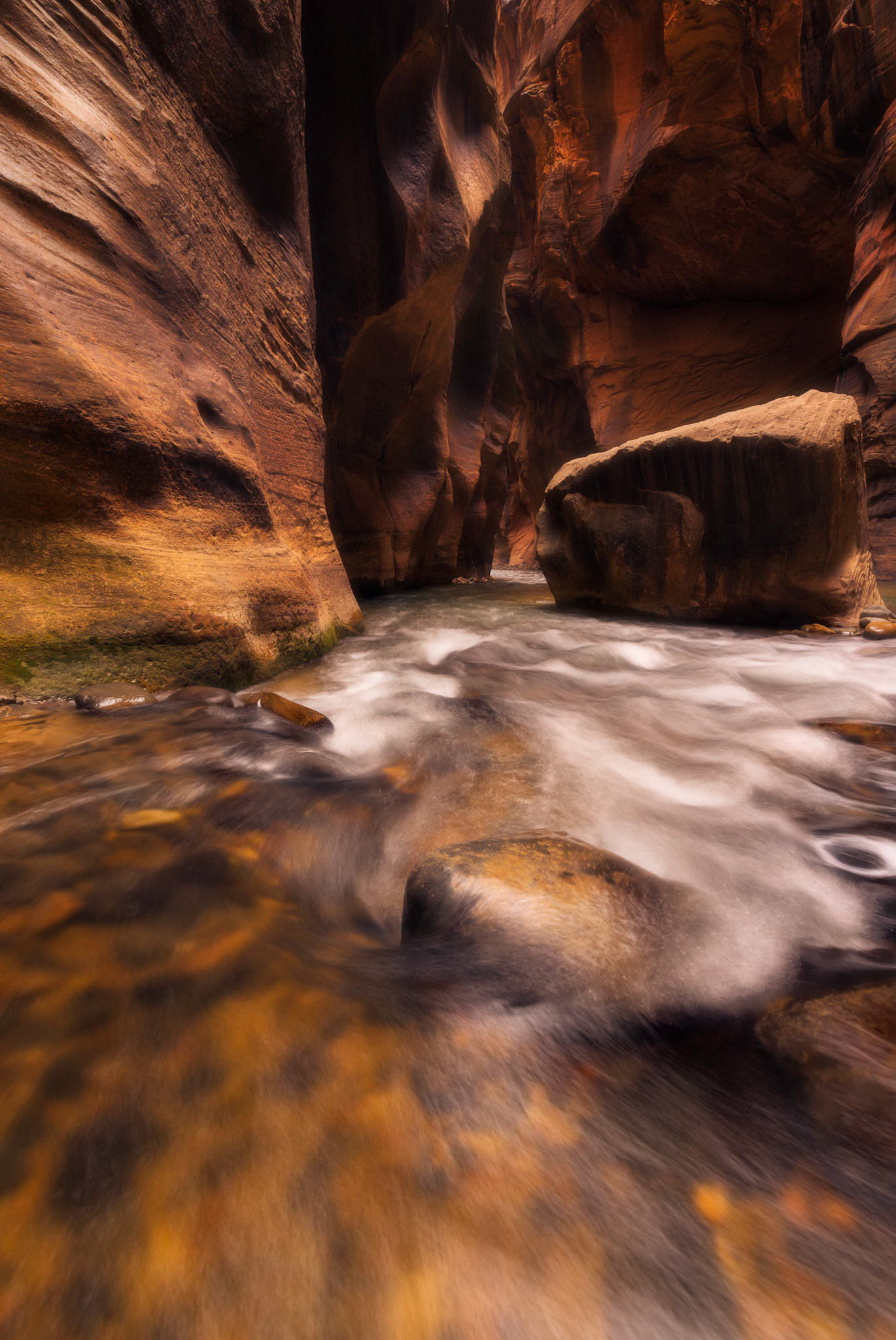 The "Wall Street" section of the Virgin River Narrows.Zion National ParkUtahNovember 15, 2017PENTAX K-1, HD PENTAX-D FA 15-30mm F2.8ED SDM WRISO 100 15 mm  0.8 sec at ƒ / 16