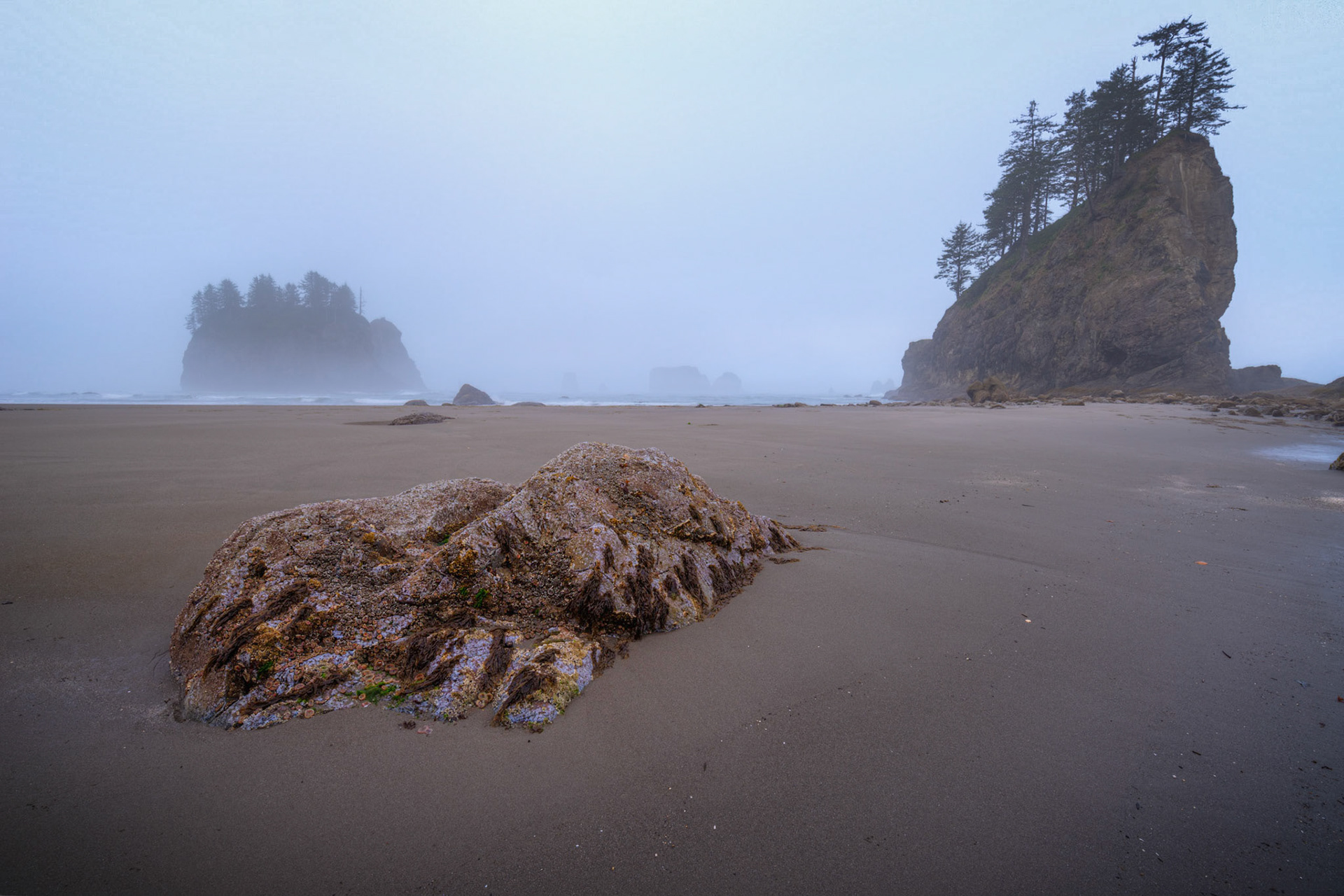 A foggy dawn at Second Beach, near La Push.Olympic National ParkWashingtonJuly 29, 2016This is an HDR image consisting of 5 exposures merged in Photomatix Pro. Additional processing in Lightroom and Photoshop.PENTAX K-1, HD PENTAX-D FA 15-30mm F2.8ED SDM WRISO 100 18 mm  ⅕ sec at ƒ / 16