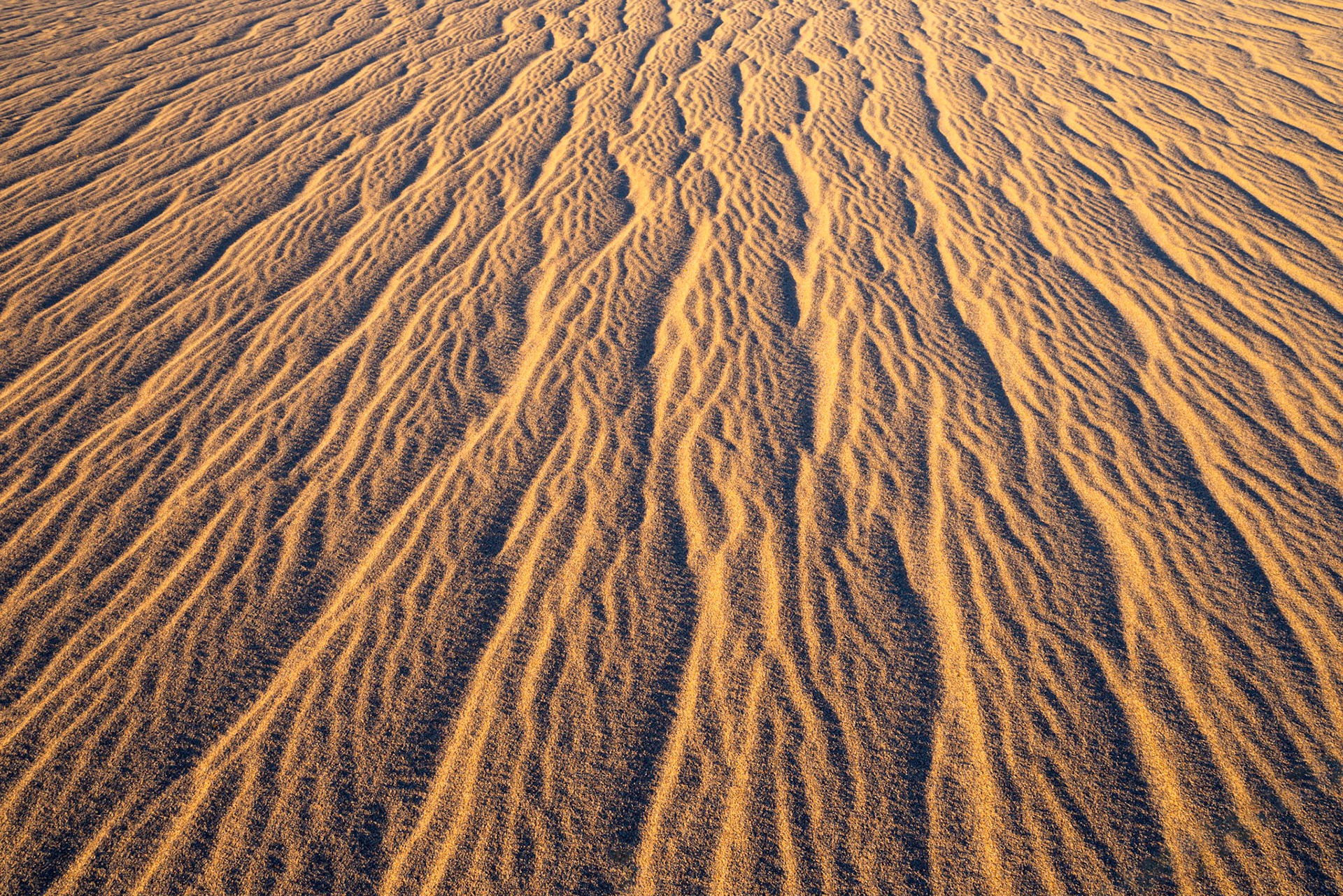 Mesquite Flats, around sunrise.Death Valley National ParkCaliforniaFebruary 19, 2020This is an HDR image consisting of 3 exposures merged in Lightroom. Additional processing in Lightroom and Photoshop.Pentax K-1, HD PENTAX-D FA 24-70mm F2.8ED SDM WRISO 100 24 mm  ¹⁄₁₀ sec at ƒ / 22