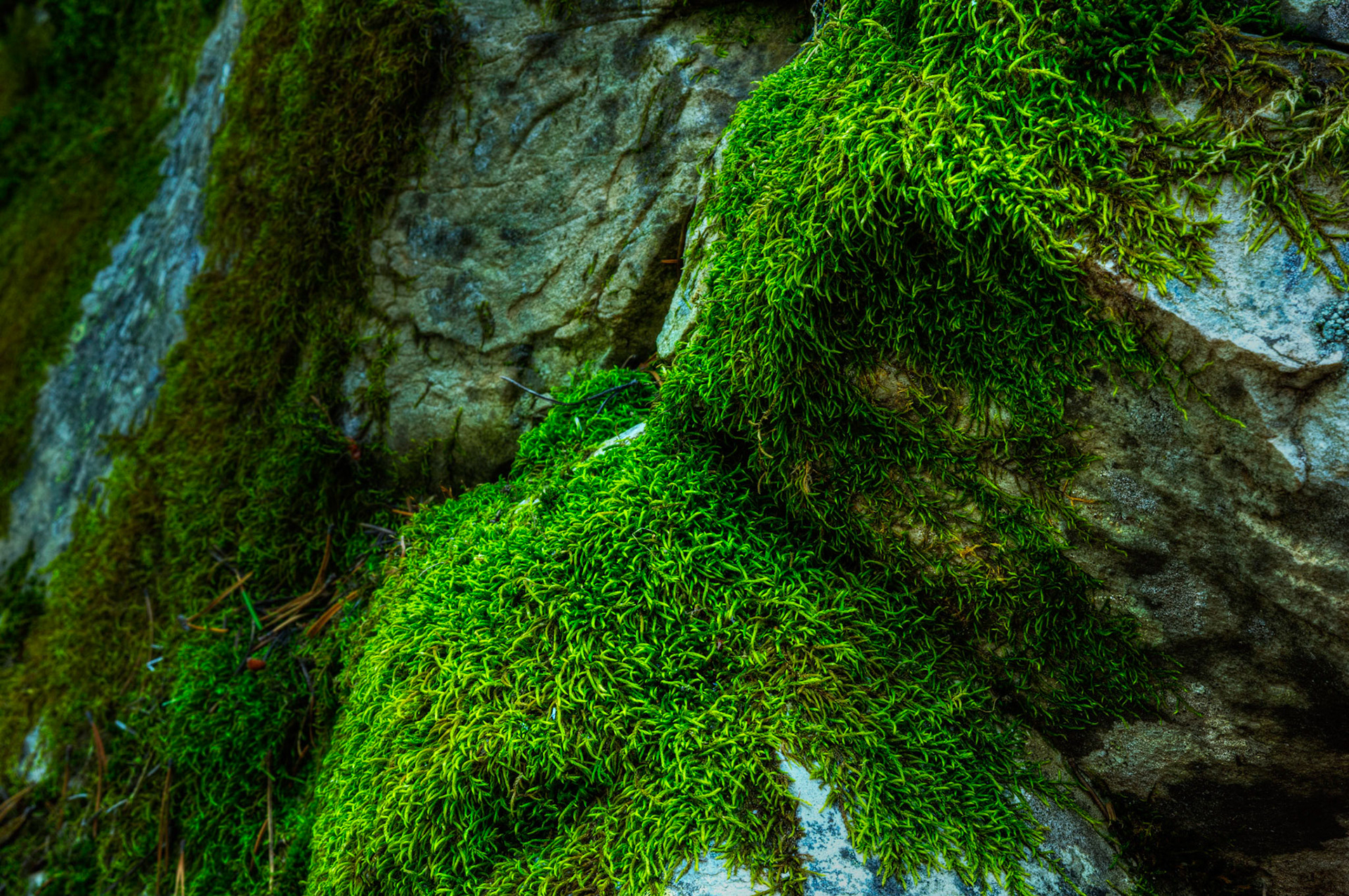 n o t  a  r o l l i n g  s t o n e  14199Glacier National ParkJuly 29, 2015This is an HDR image consisting of 5 exposures merged in Photomatix Pro. Additional processing in Lightroom and Photoshop.PENTAX K-3, Sigma 18-35mm f/1.8 DC HSM ArtISO 100 35 mm  3.0 sec at ƒ / 16
