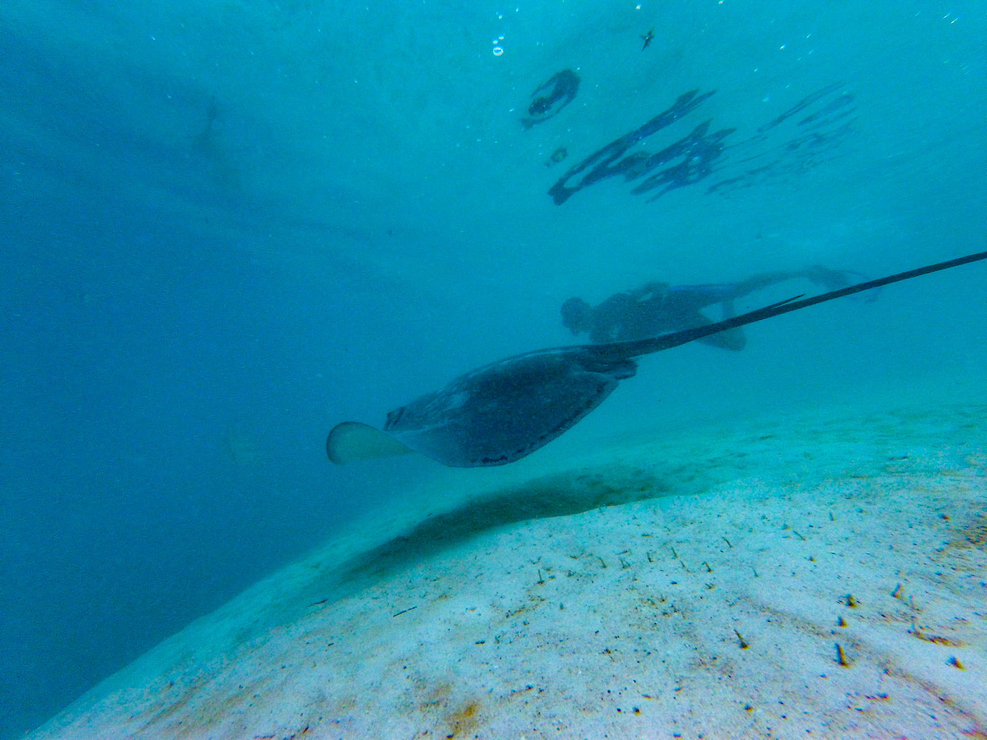 DCIM\101GOPRO
