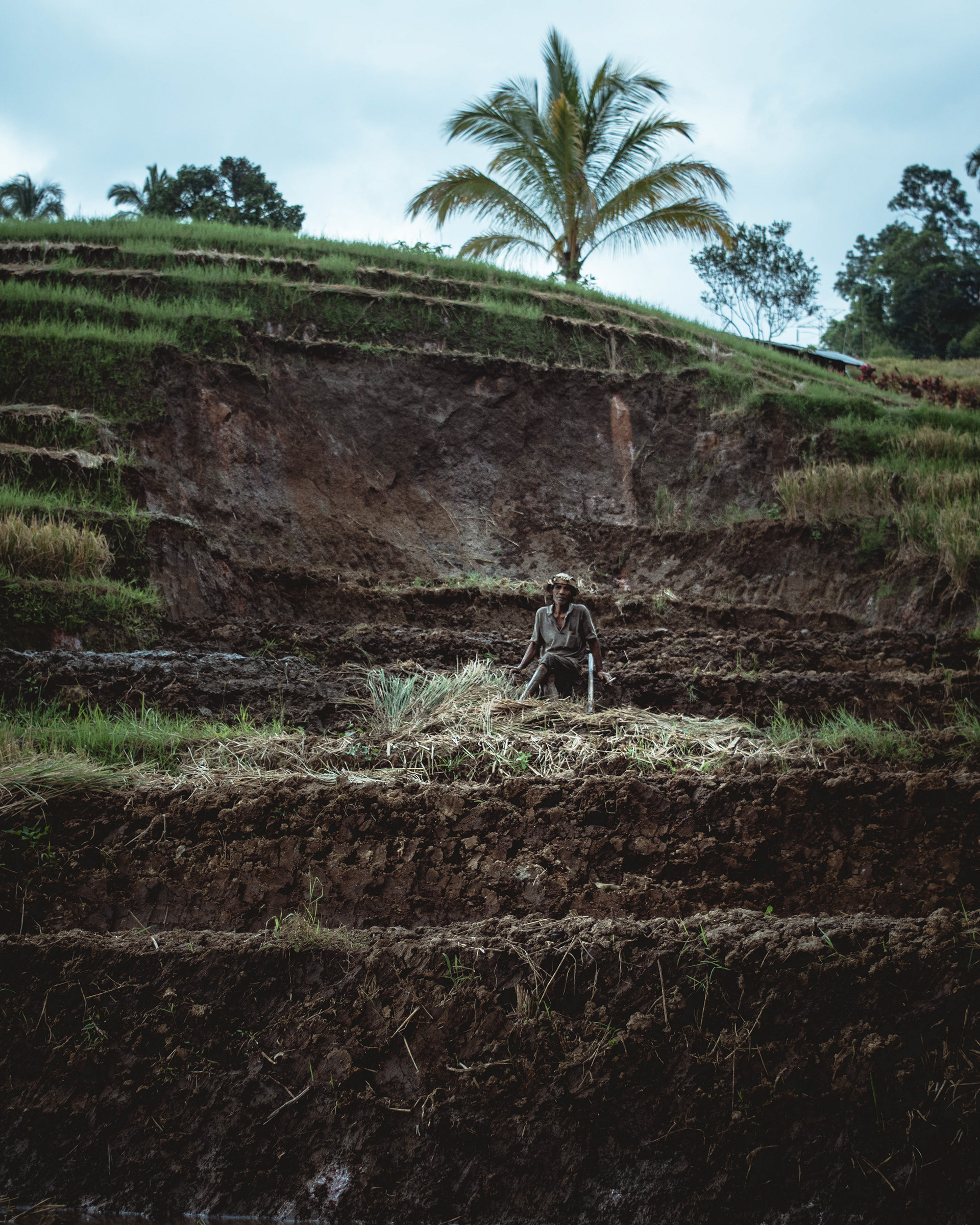 Resting rice farmer, Bali, Indonesia