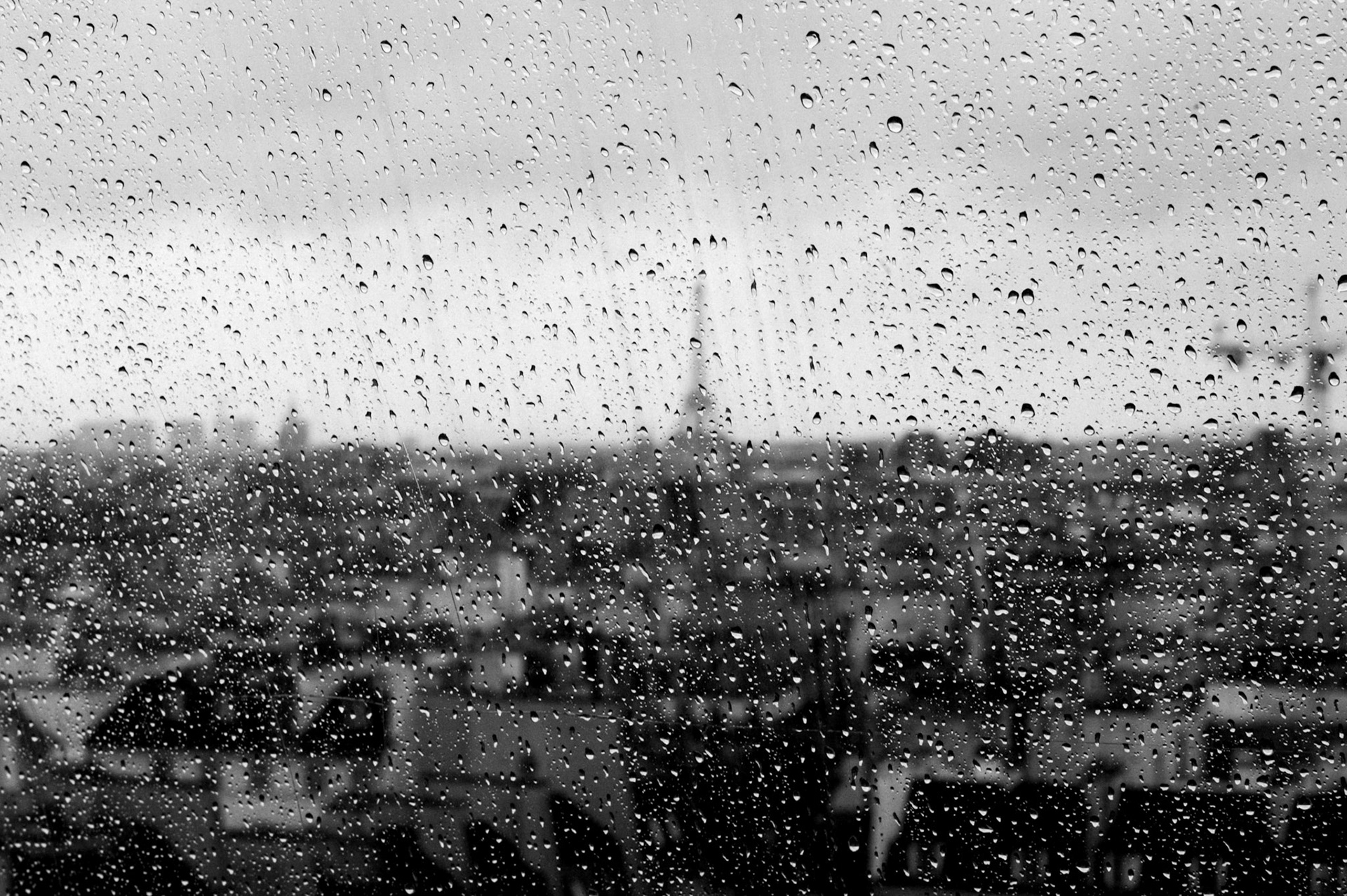 C'est la fête à la grenouille... © Pierre Suu 2014 All Rights Reserved