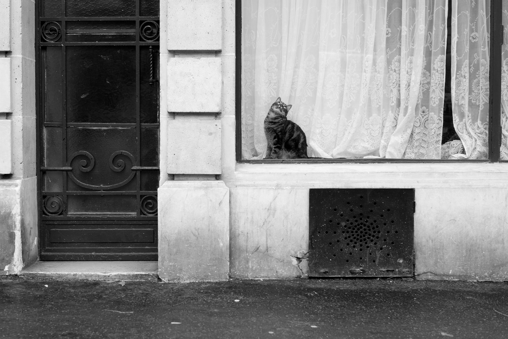 © Pierre Suu 2017 All Rights Reserved