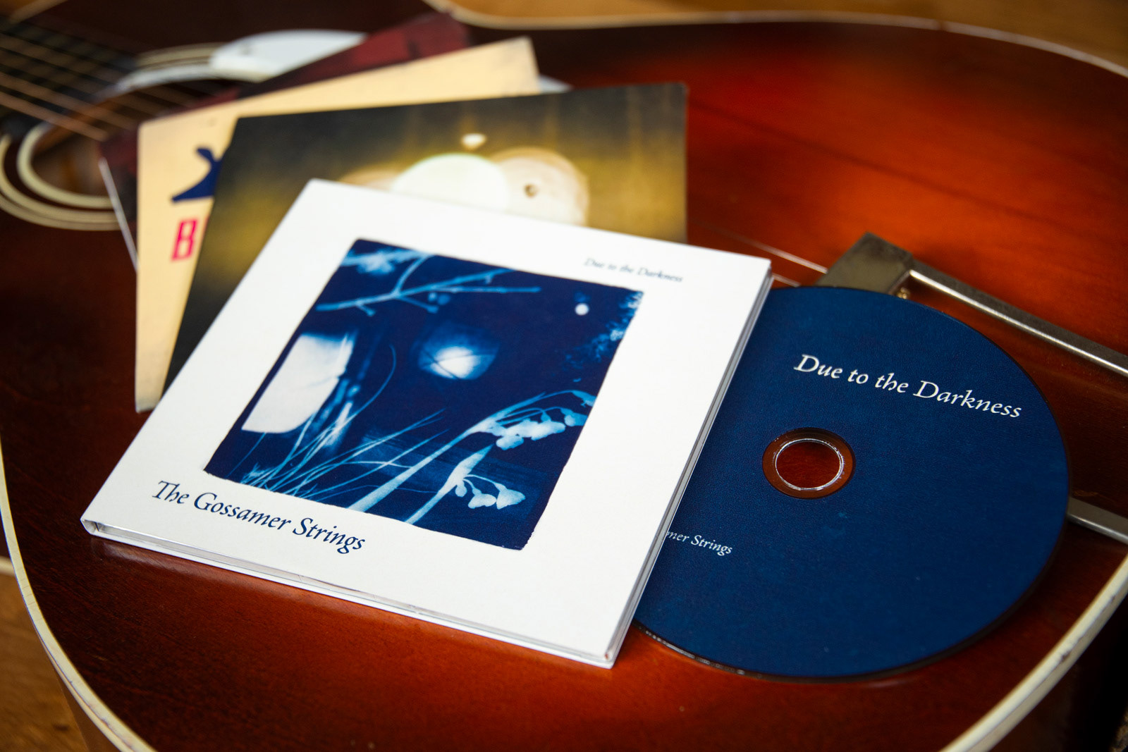 CD album art for local bands and musicians, with custom design, illustration and photography.