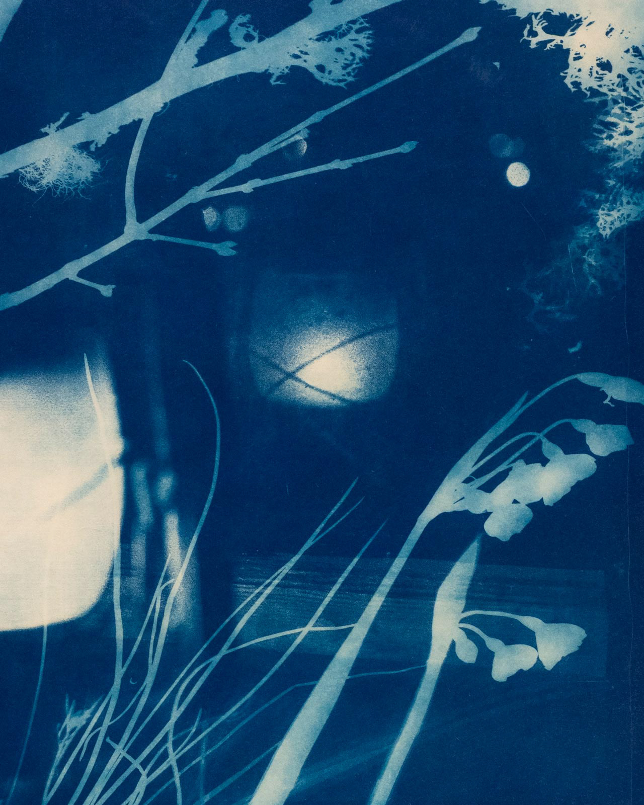 Original art and illustration, cyanotype, screenprinting, letterpress, woodcut and more