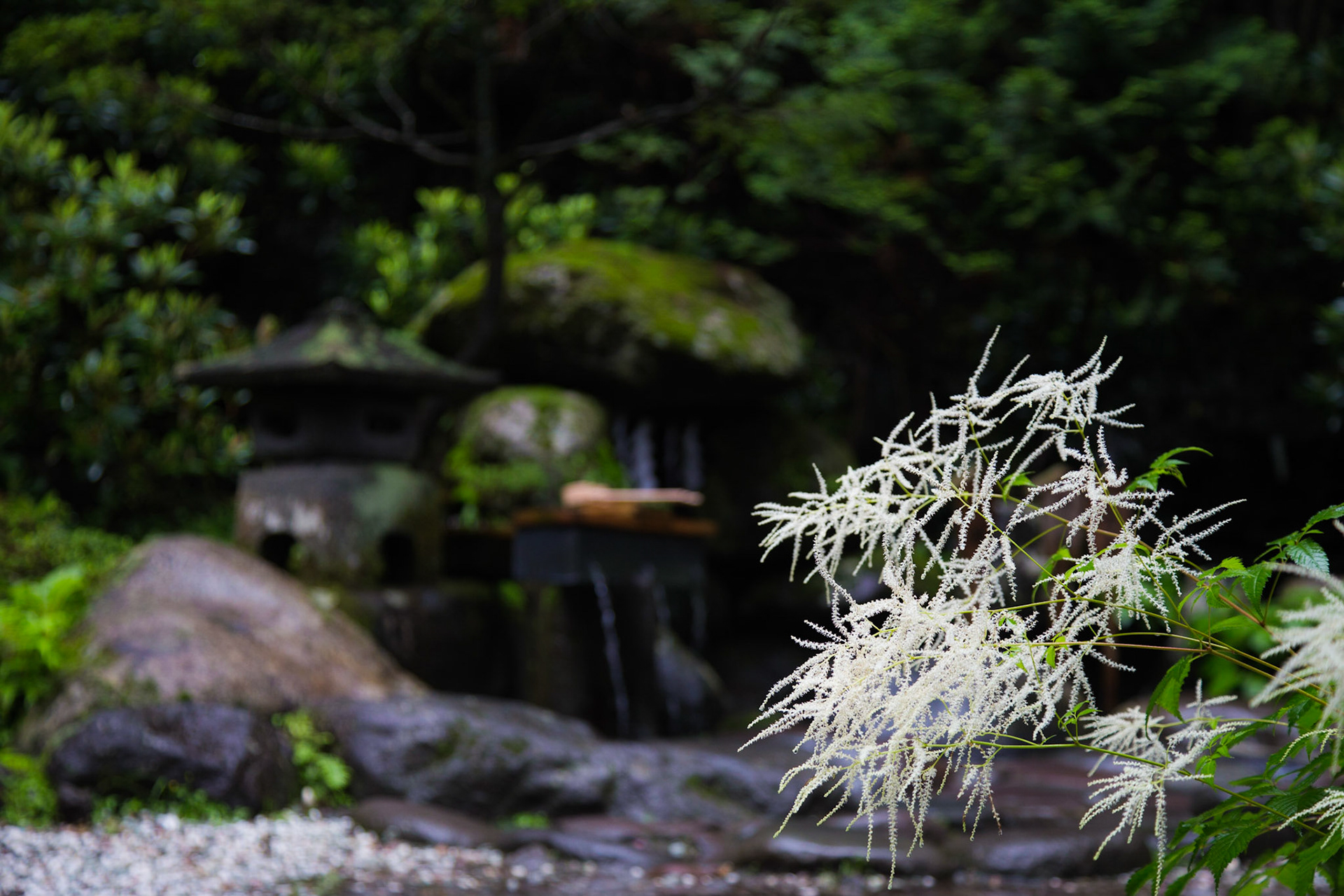 Nikko Shintoism