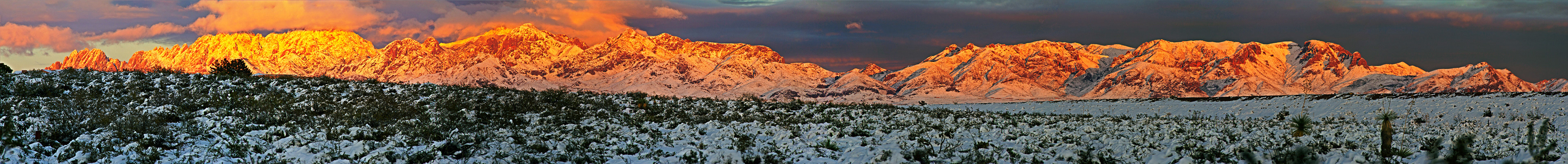 Organ Mountains - 2015