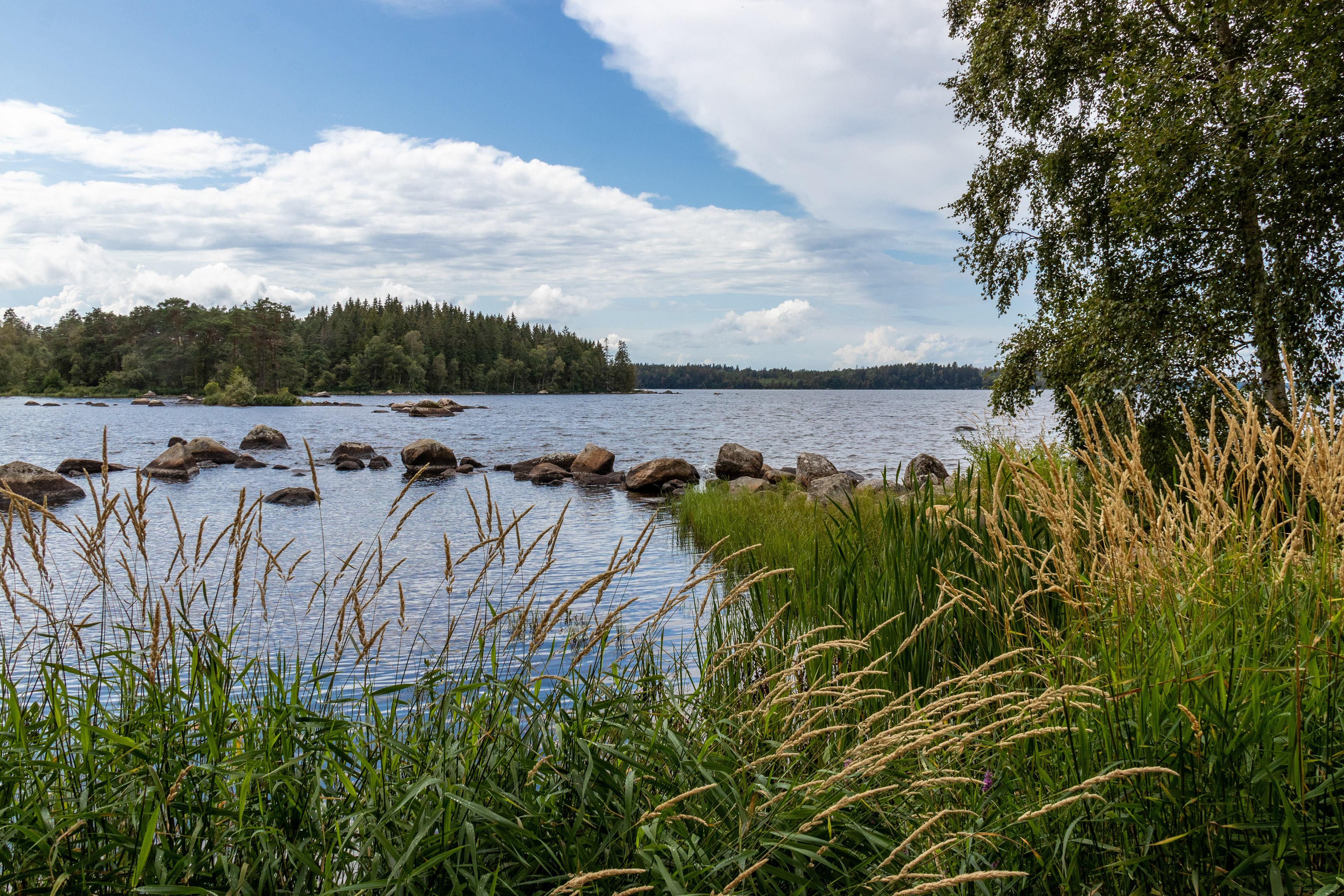 Én af de mange søer i området