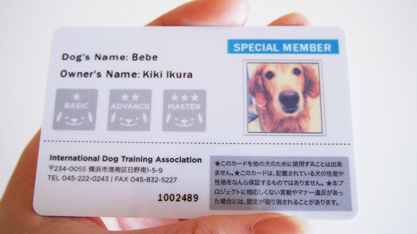 Kiki Ikura Good Boy Project Logo Illustration More