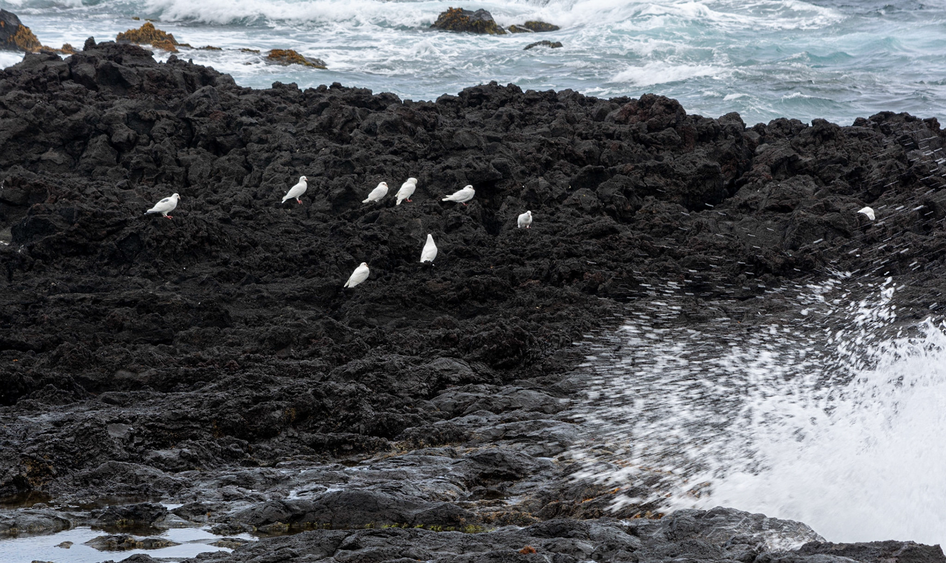 Mosteiros Azores