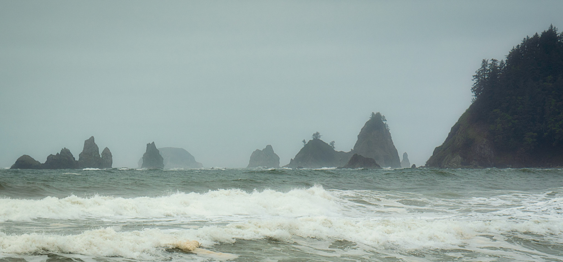 Sea stacks a plenty
