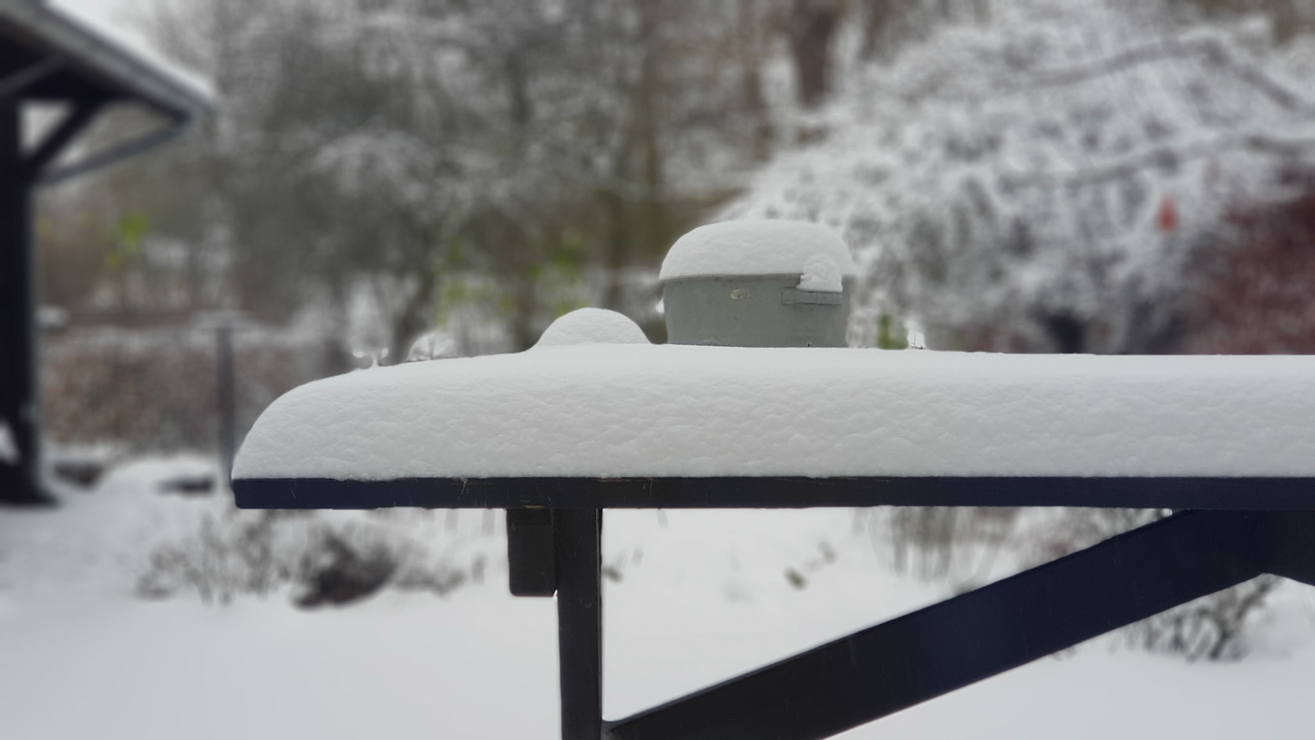 A lot of snow