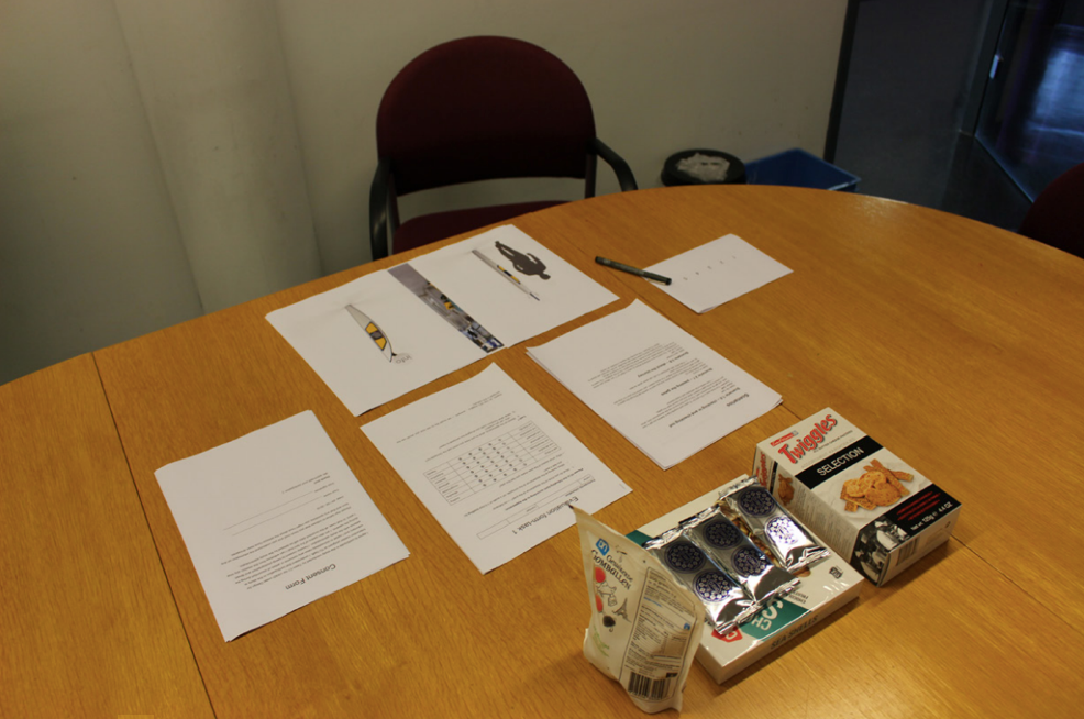 Test setup: Interviews