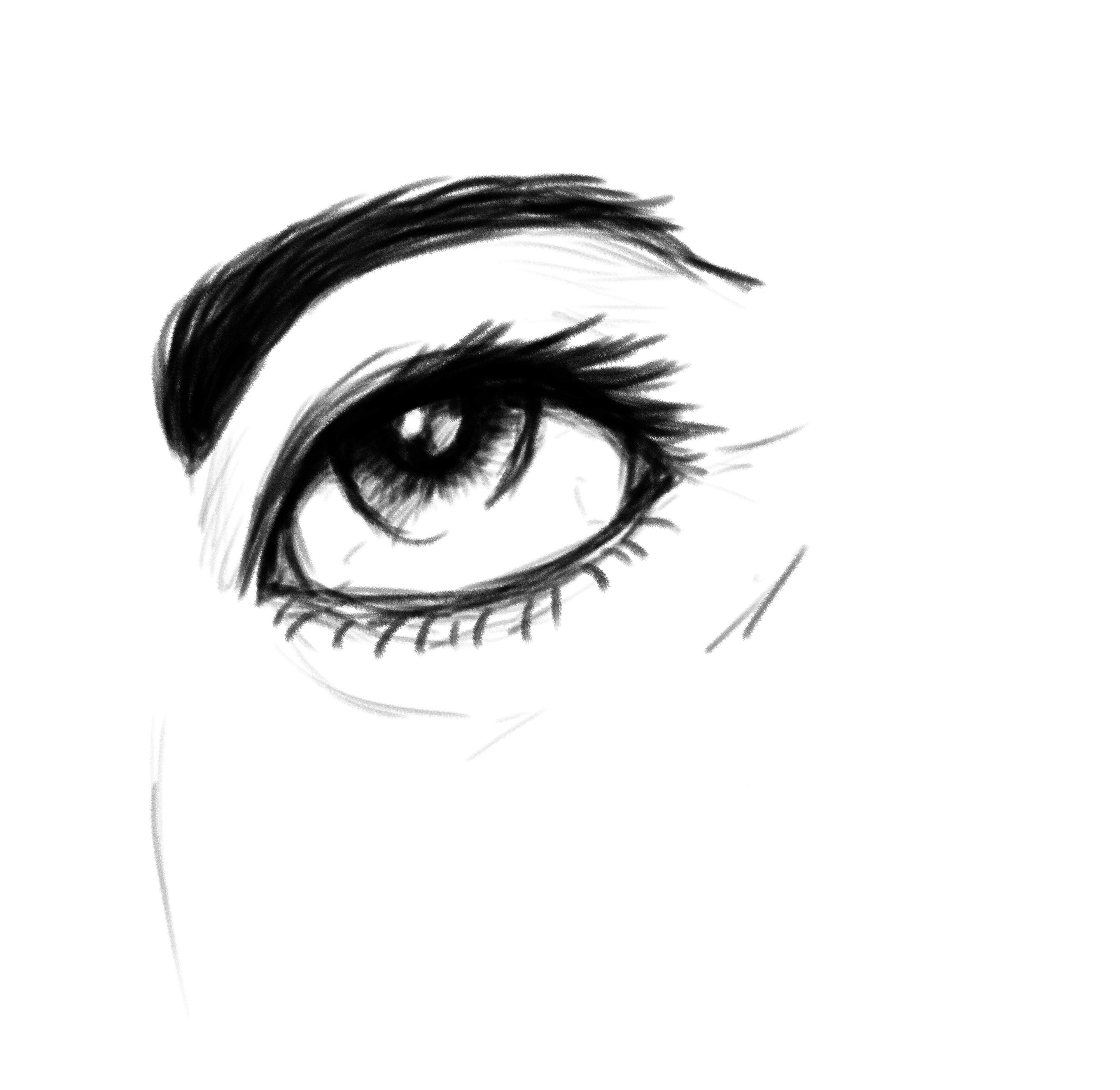 2020 sketch