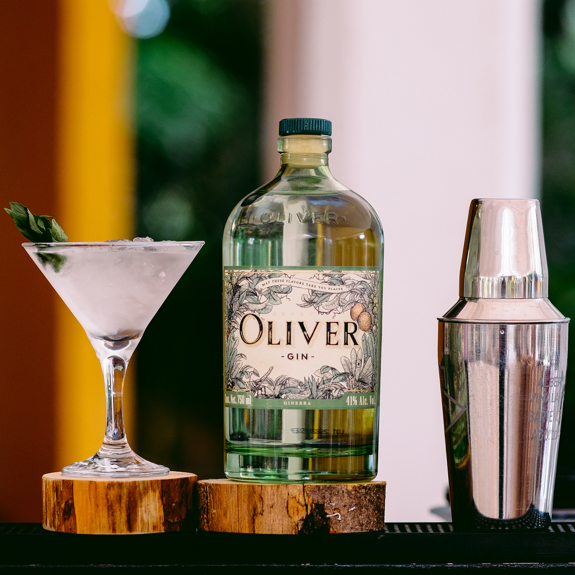 Jaime Avila Henry Oliver Gin