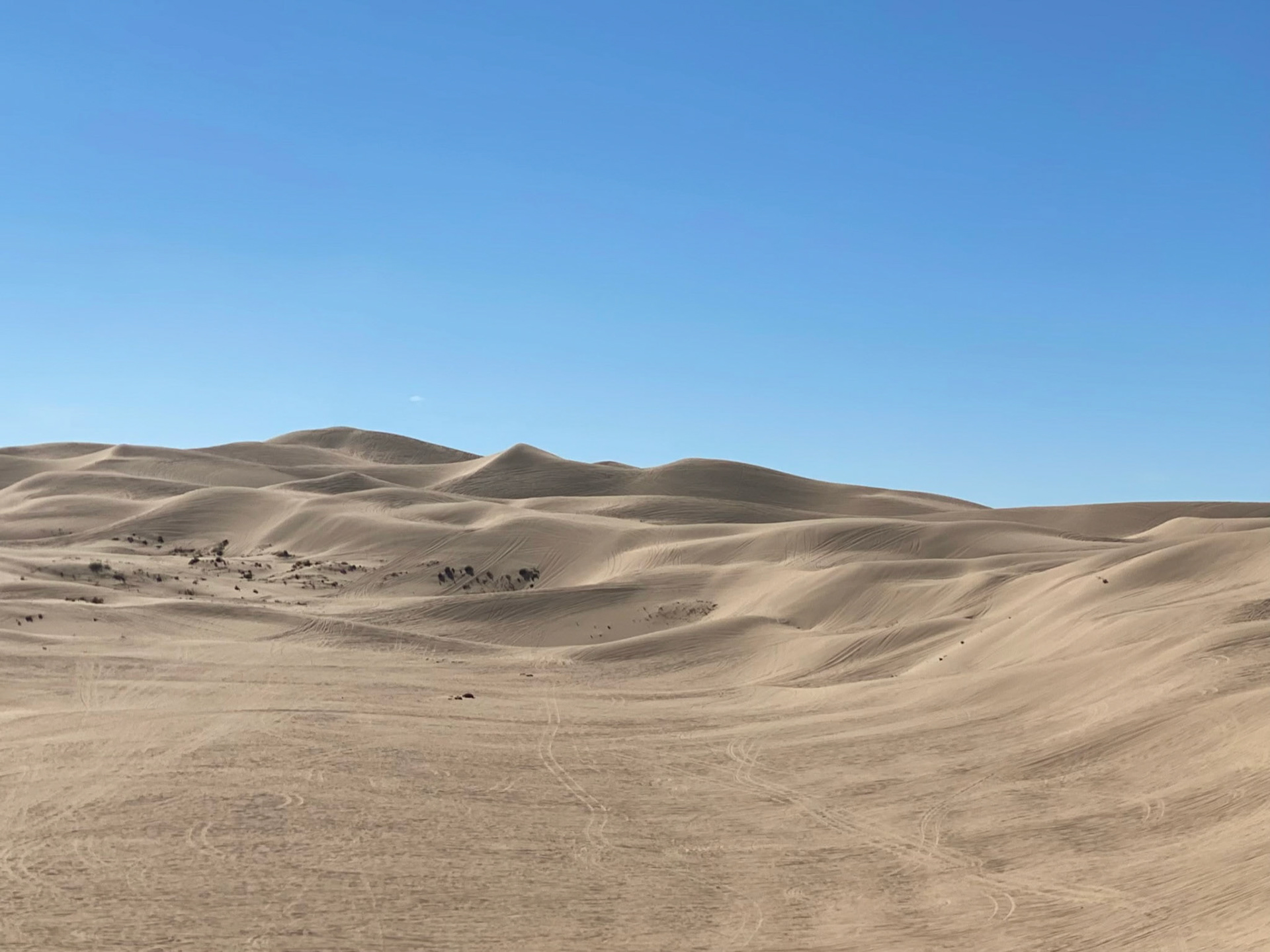 Algodones Dunes