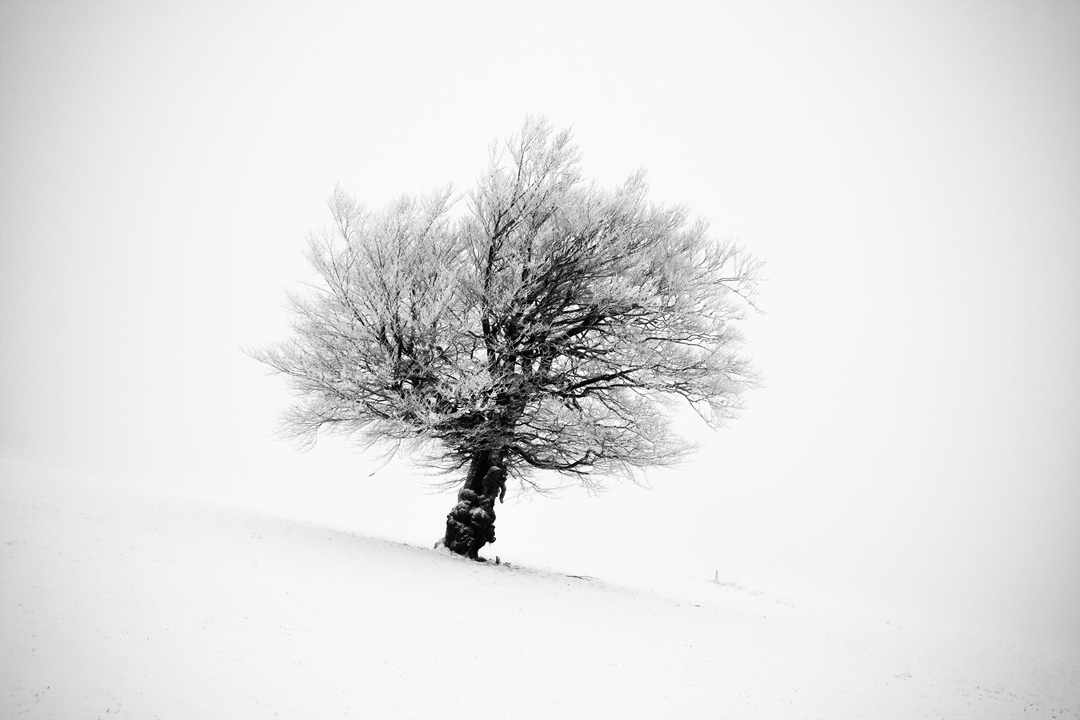 Michael Schlegel - Landscape Photography - Frozen Life