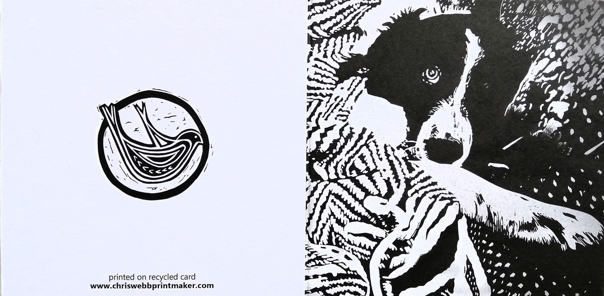 front and back of card