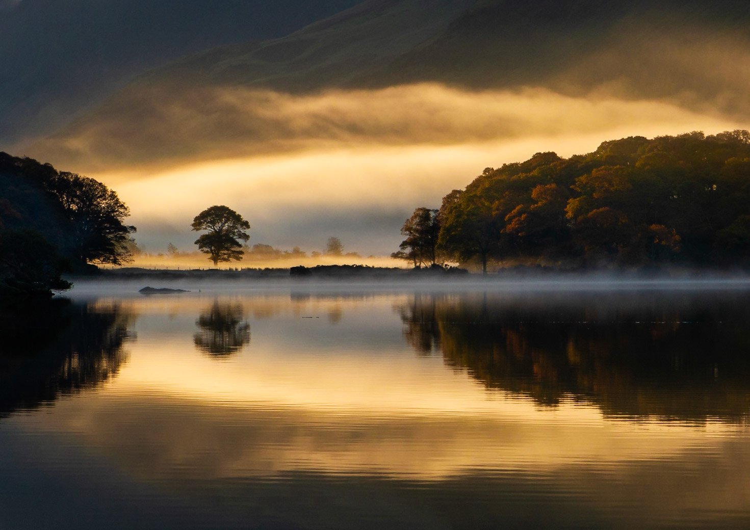 Morning Light on Mist