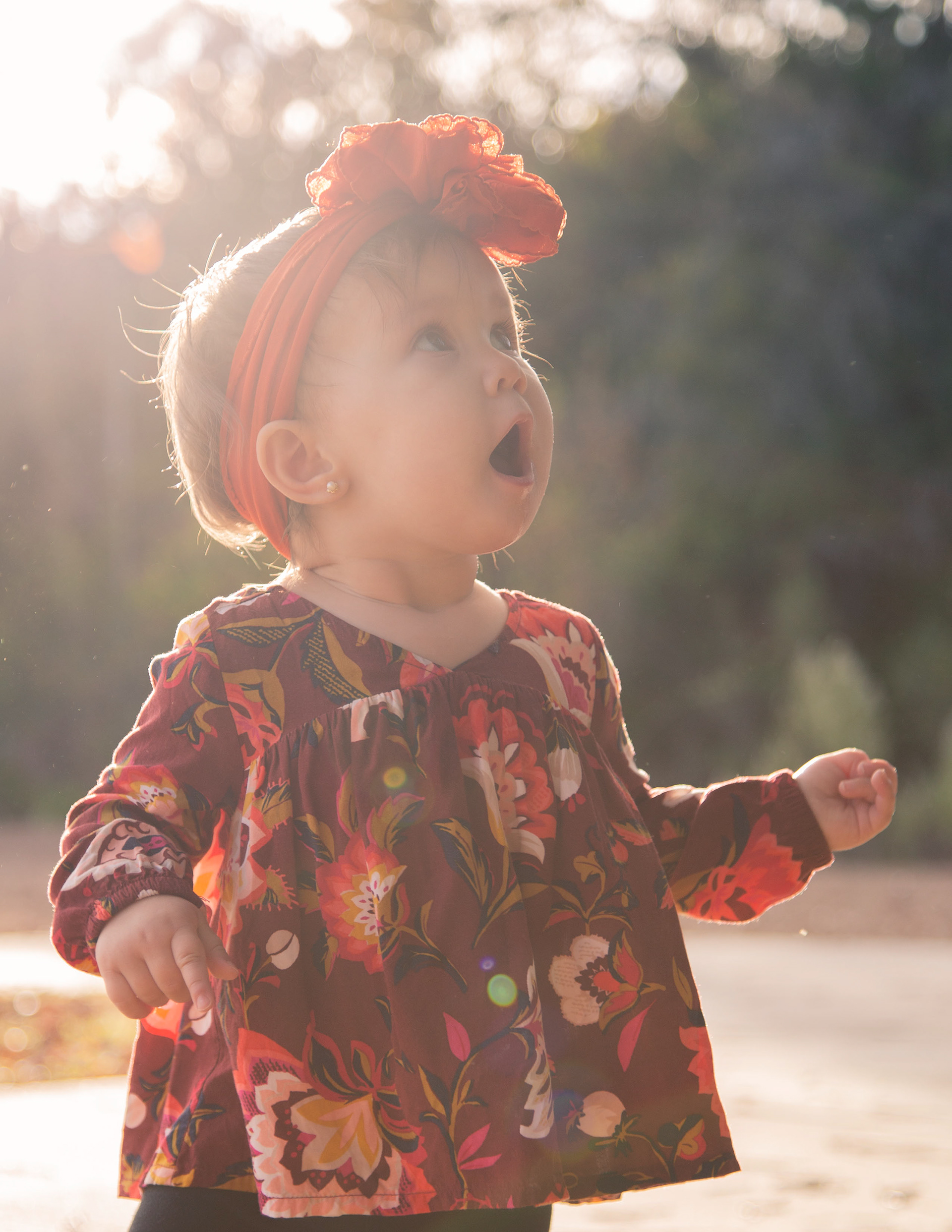 Victoria Twelve Month