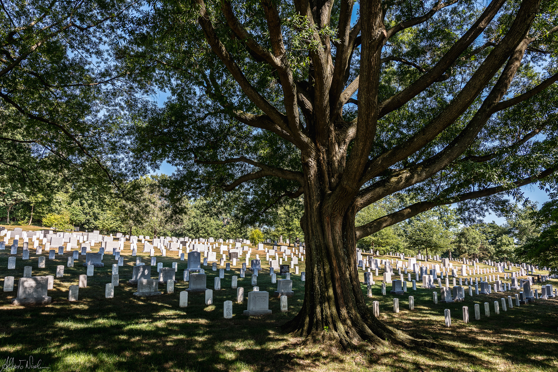 Arlington National Cemetery