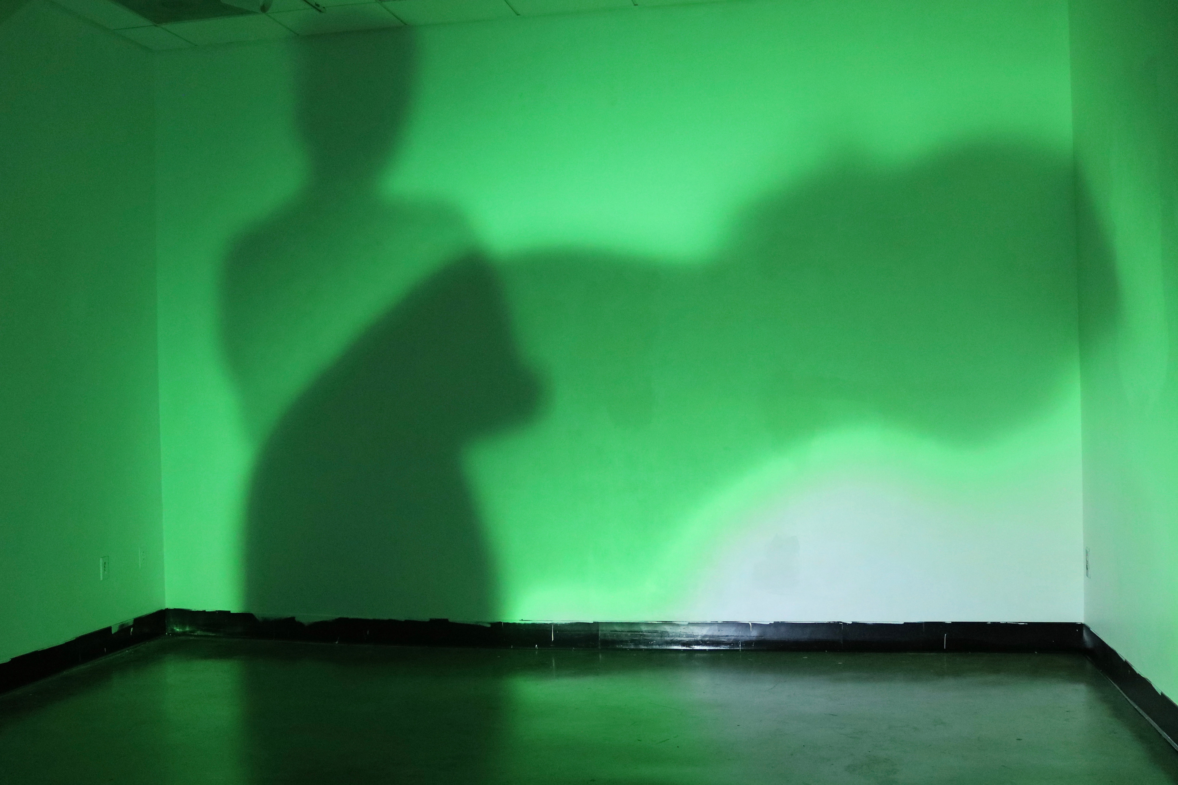 "Green Light II" projection documentation, 2019.