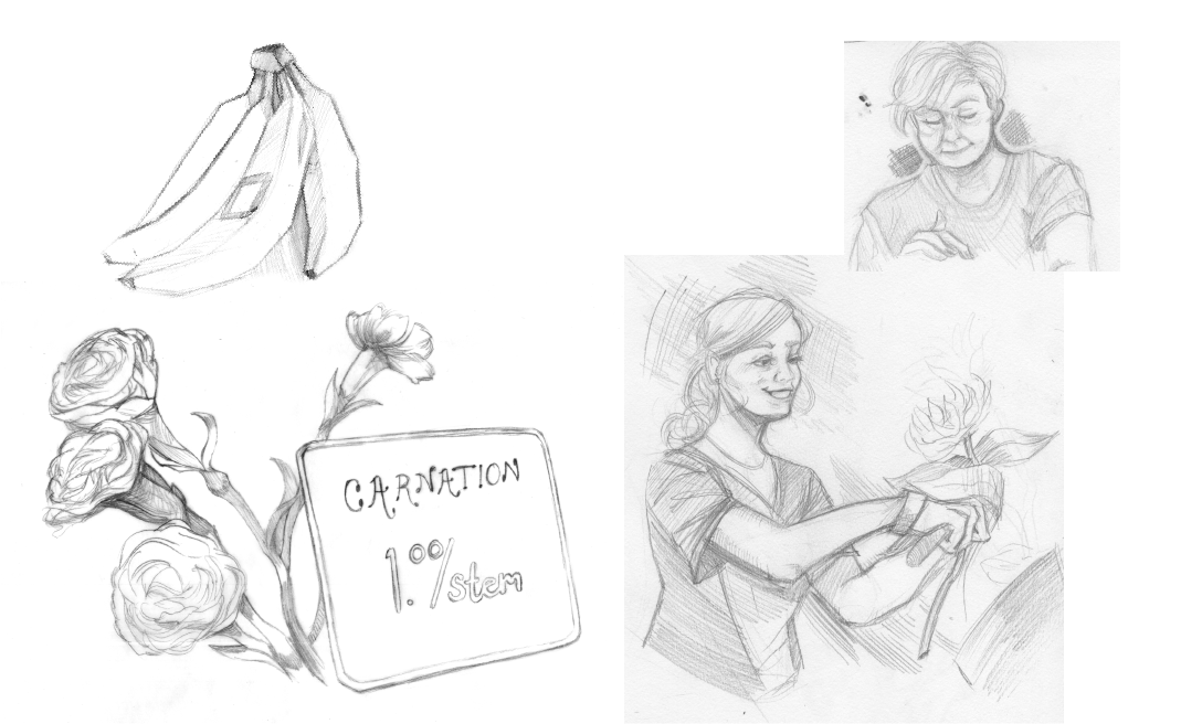 Preliminary sketches of chosen illustrations.