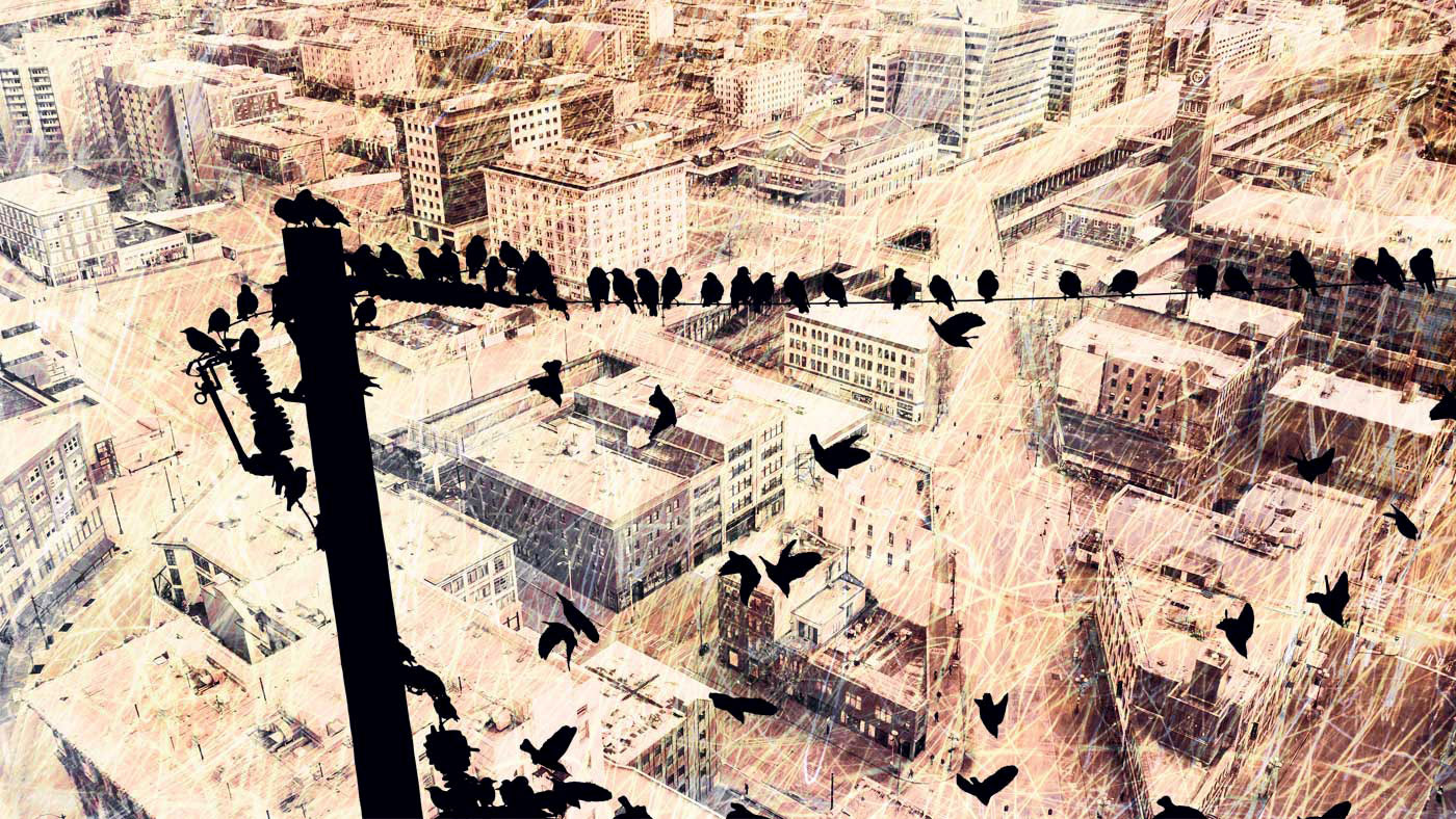 Silhouettes of birds rest and fly from a telephone wire high above the city