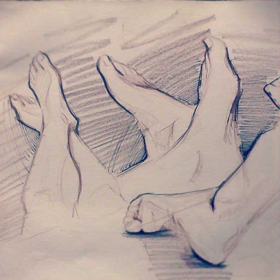 anatomy