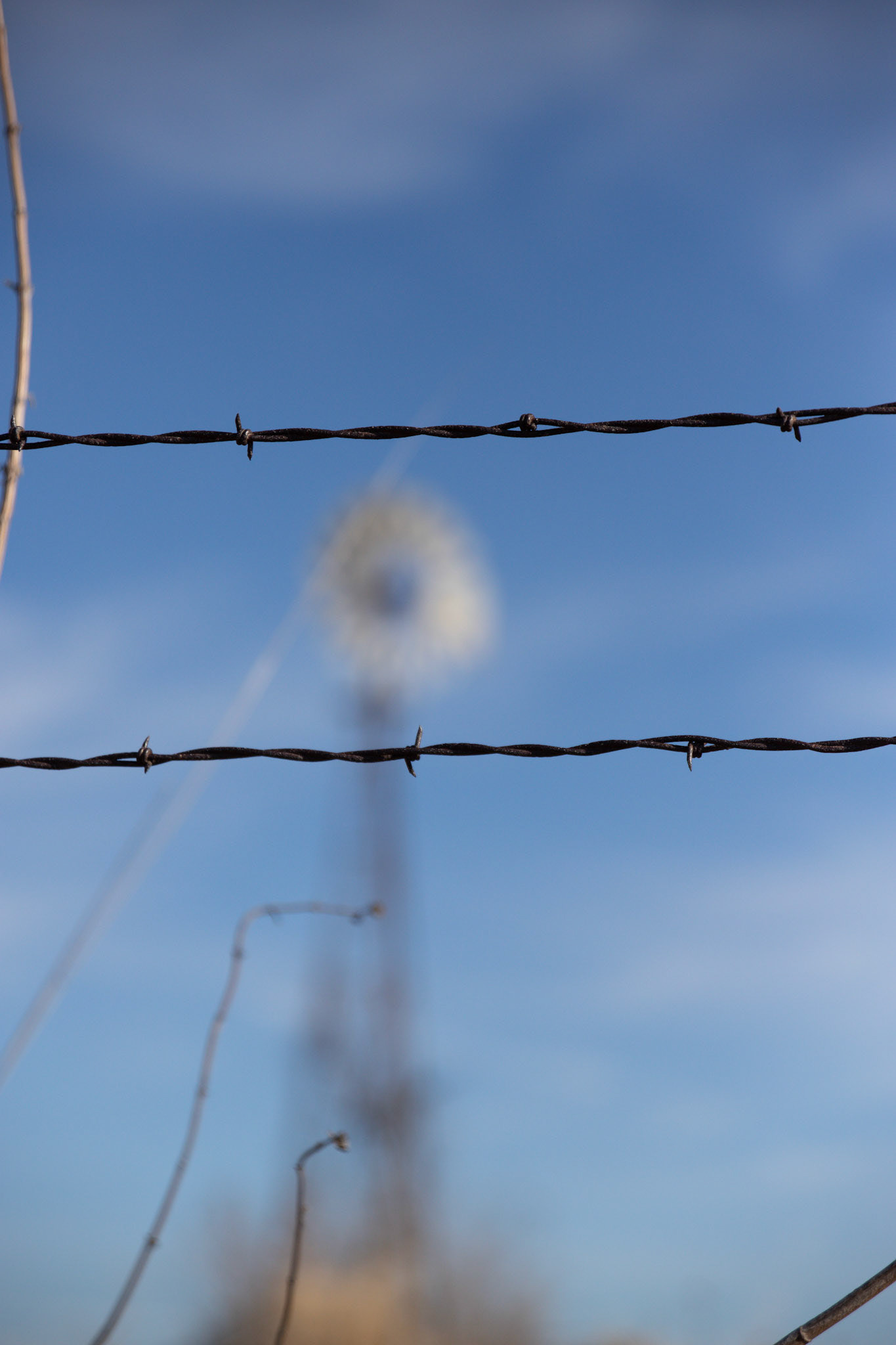 windmills