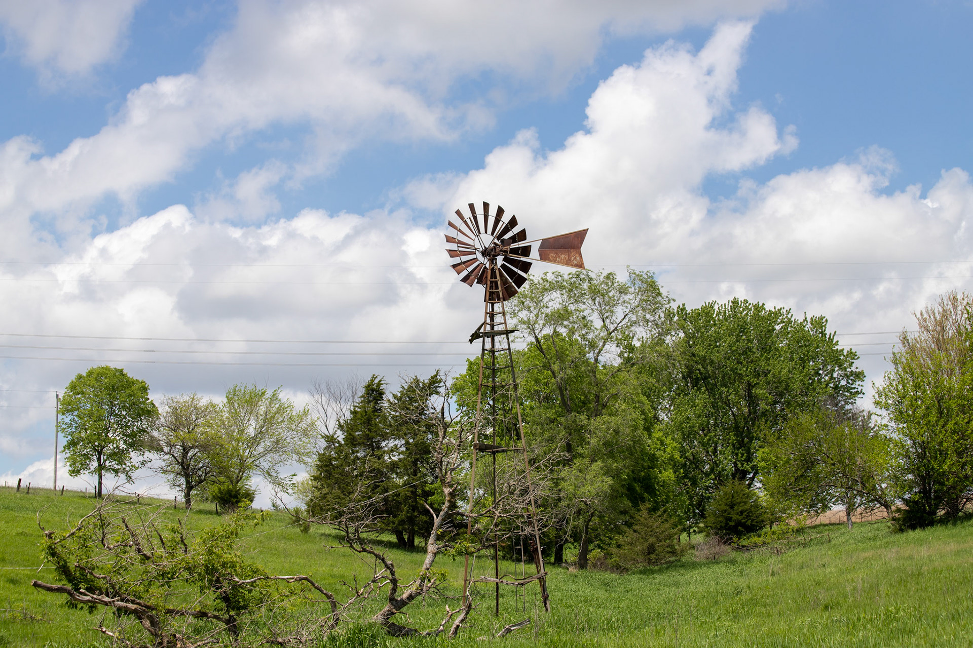 windmills