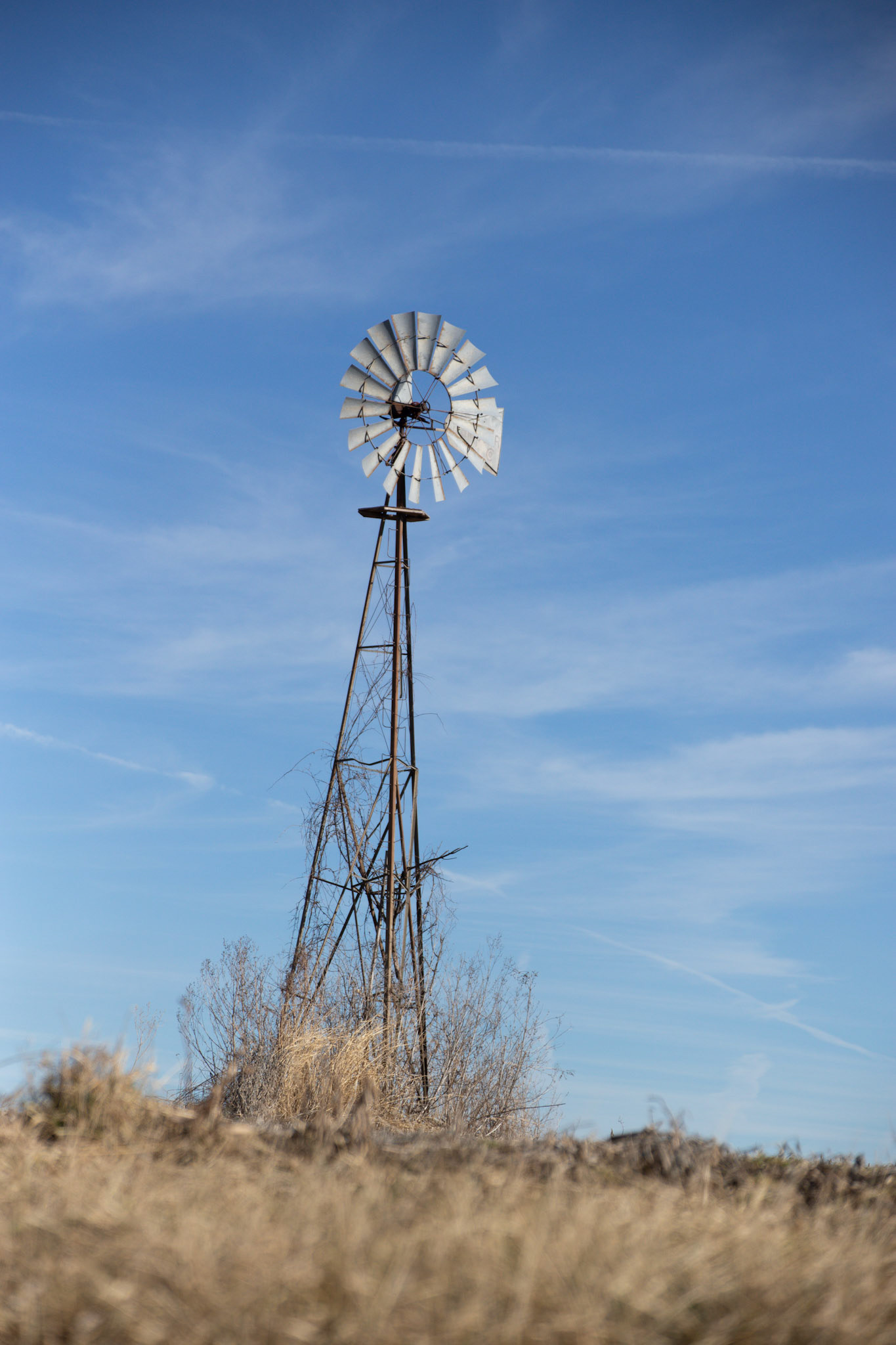 windmills