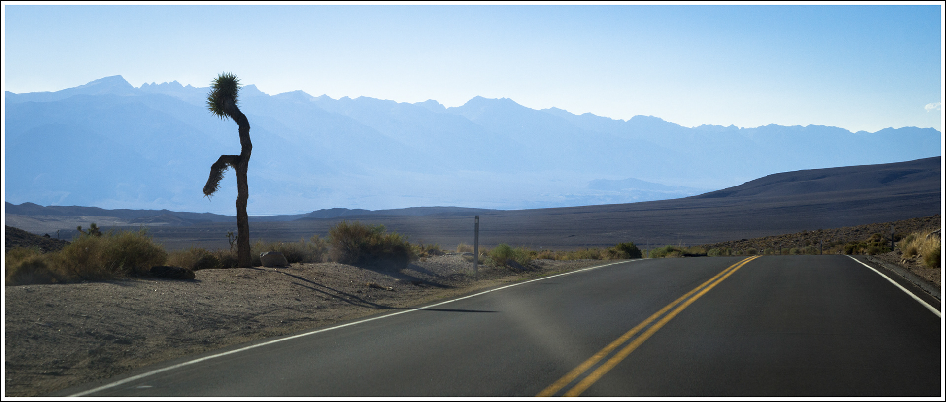 To Death Valley, 2015